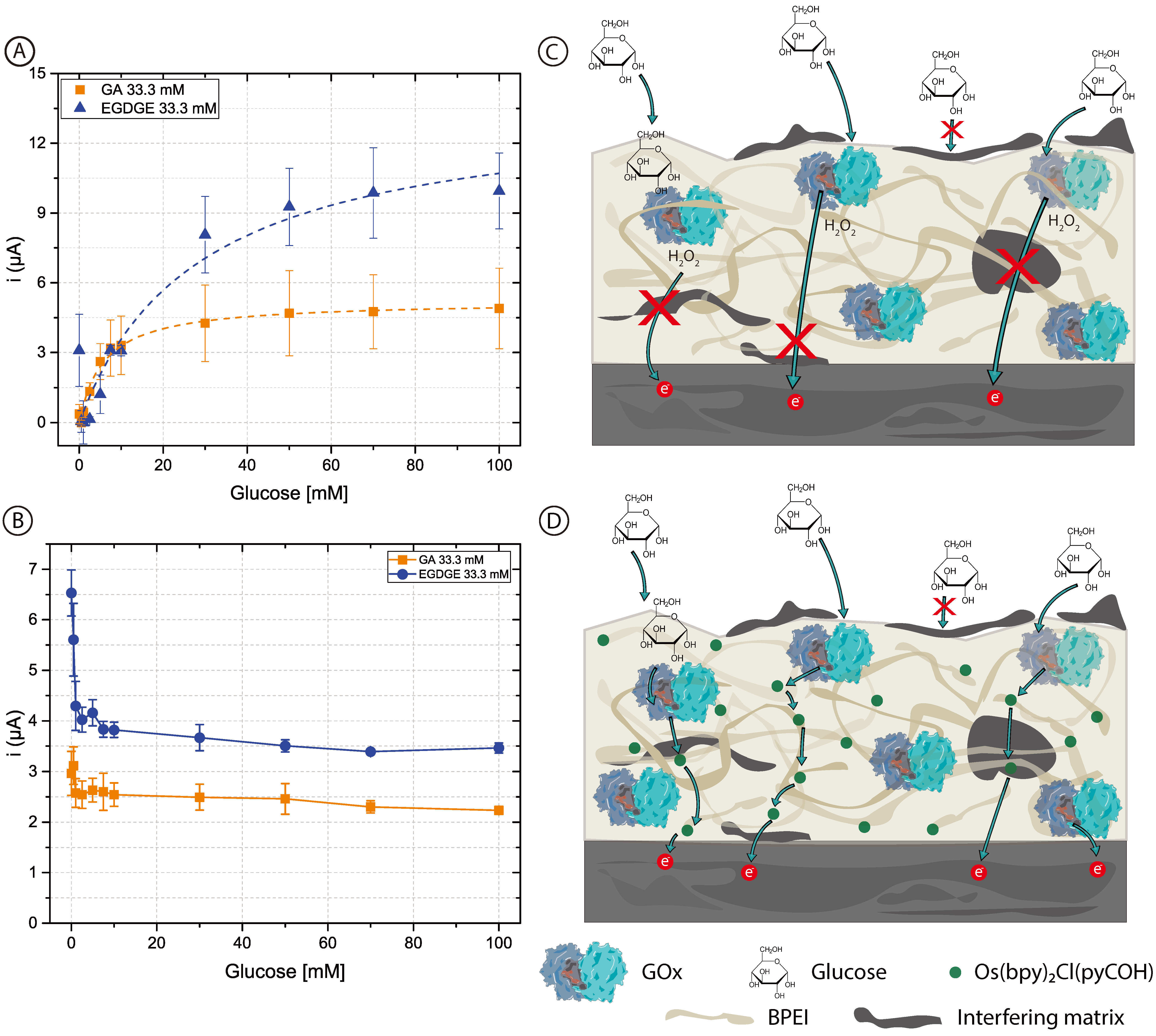 Biosensors 13 00582 g004