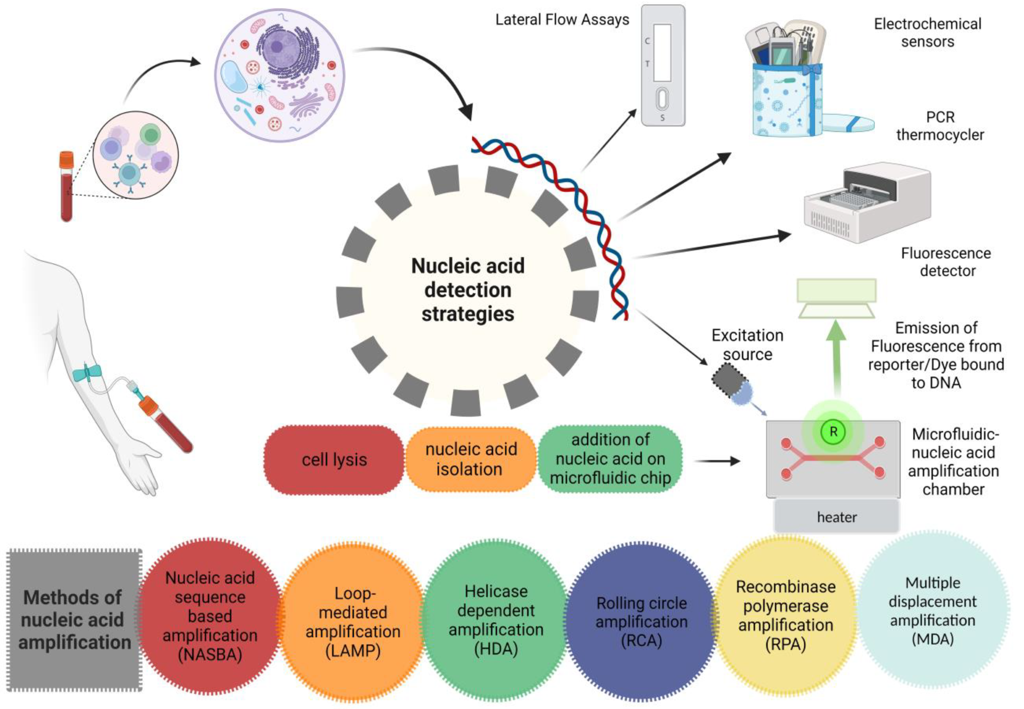 Biosensors 13 00584 g002