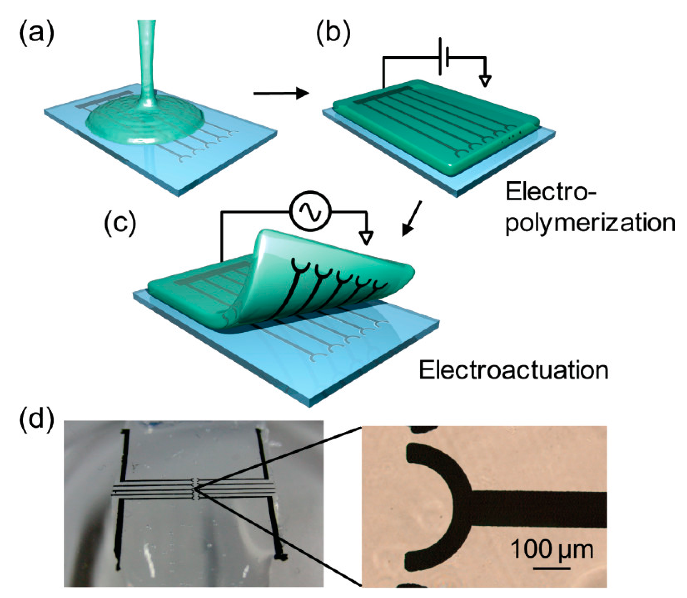 Biosensors 13 00586 g008