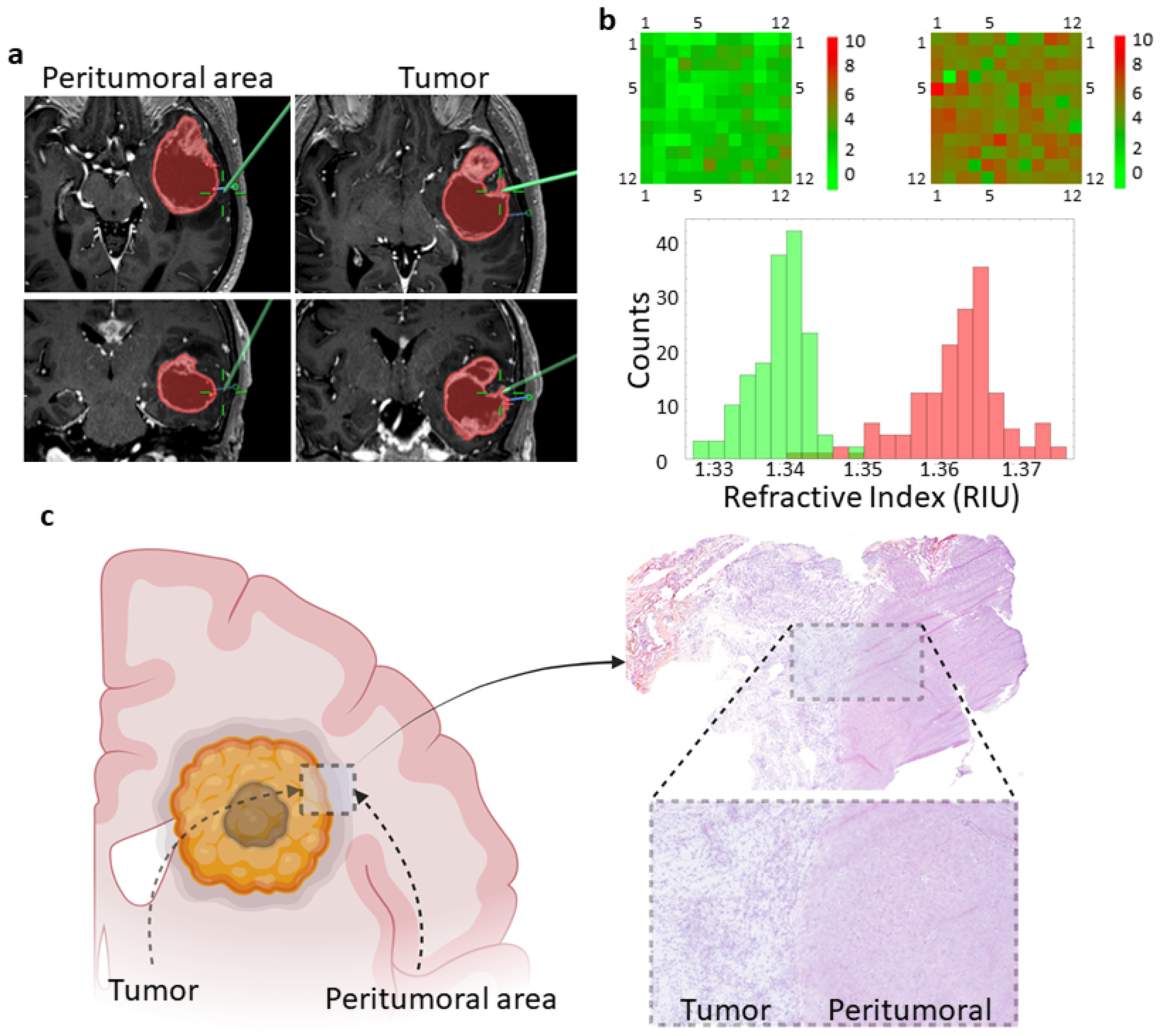 Biosensors 13 00591 g001 Biosensors 13 00591 g001