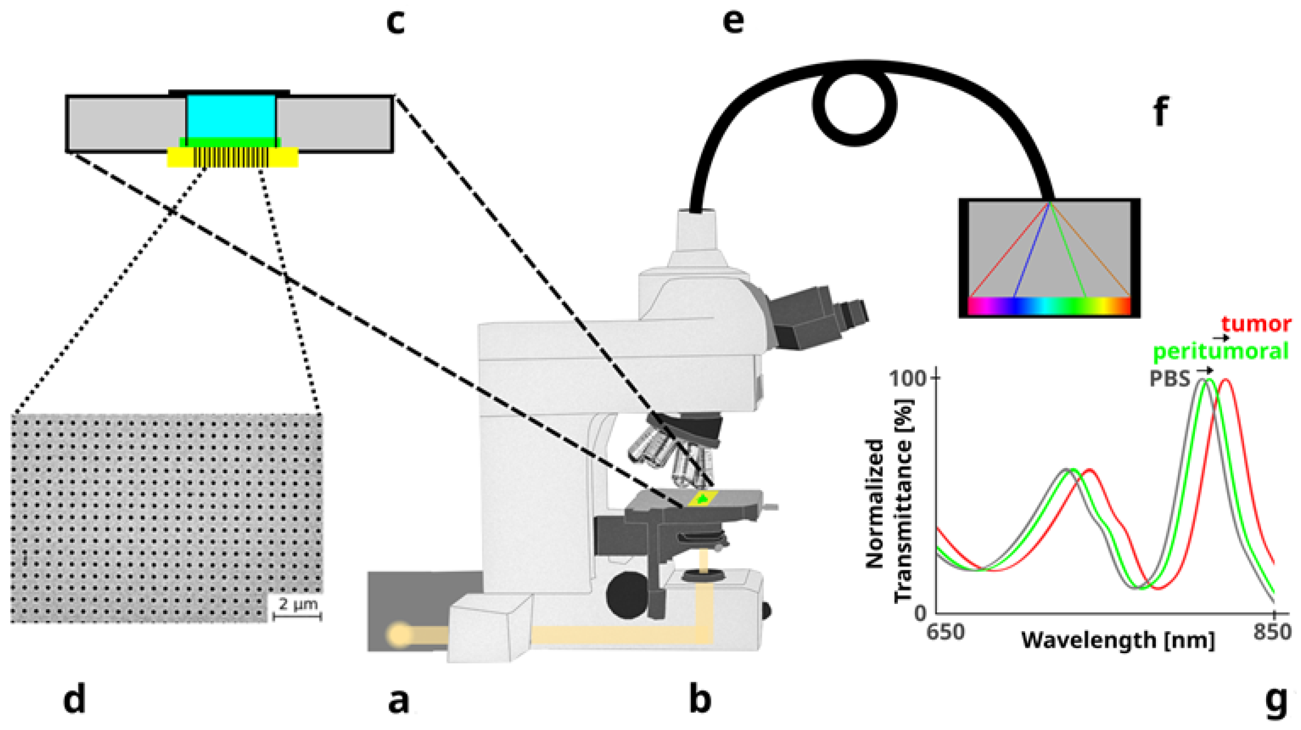 Biosensors 13 00591 g002 Biosensors 13 00591 g002