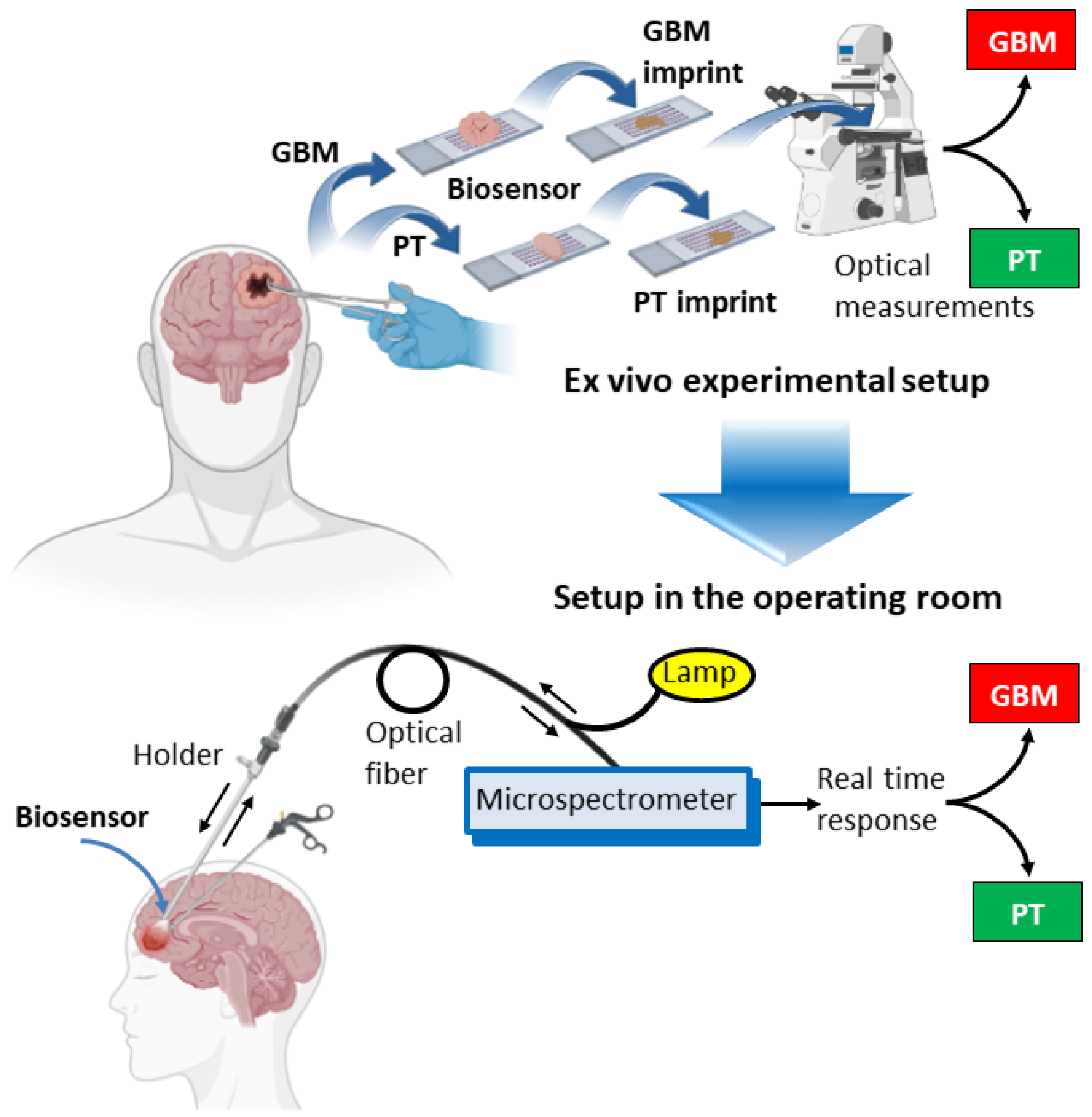 Biosensors 13 00591 g003 Biosensors 13 00591 g003