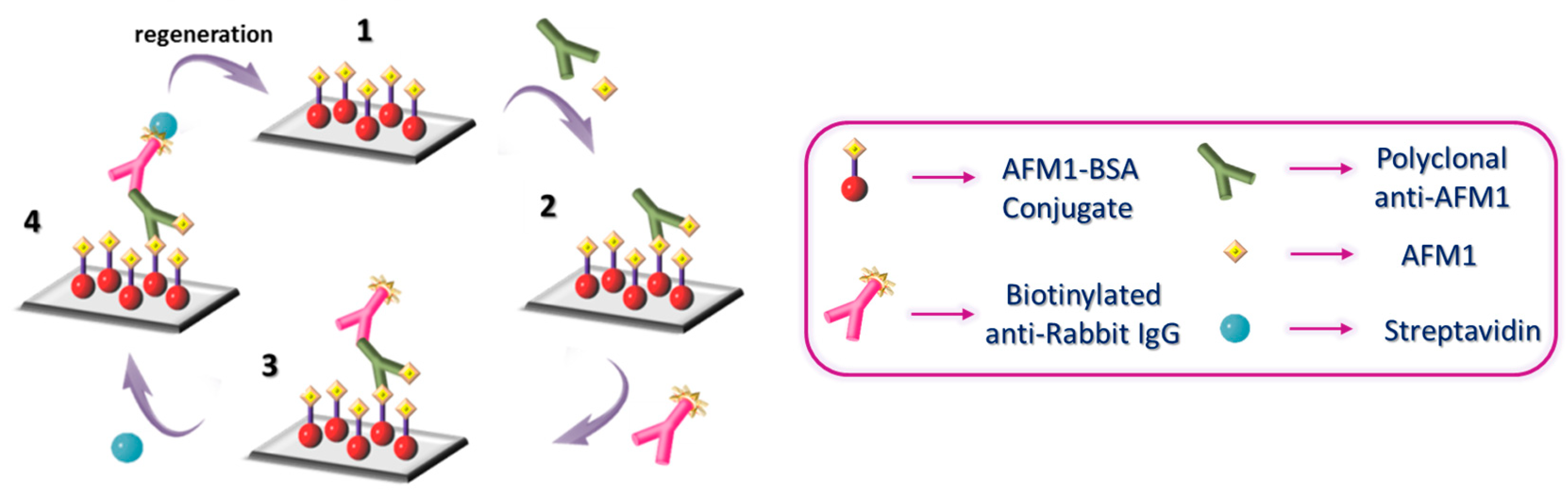 Biosensors 13 00592 g002