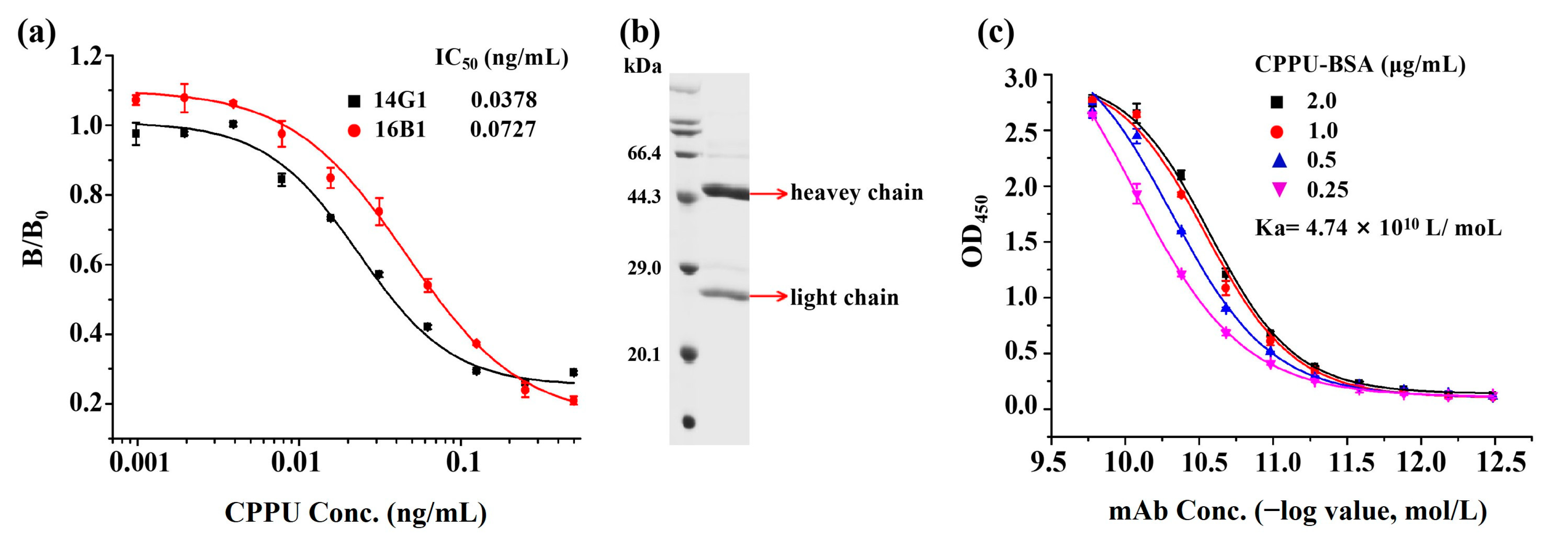 Biosensors 13 00593 g002