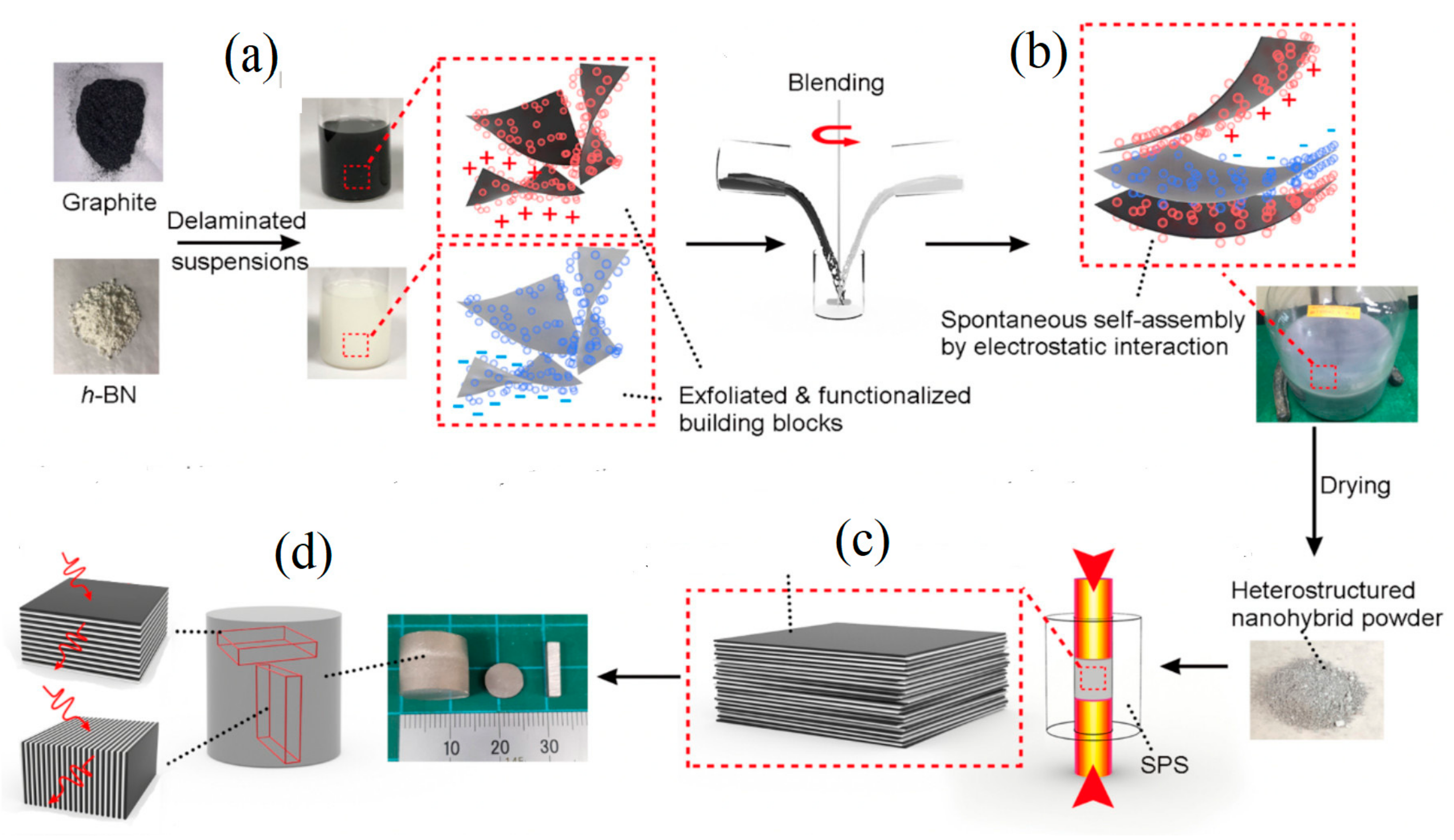 Biosensors 13 00595 g005