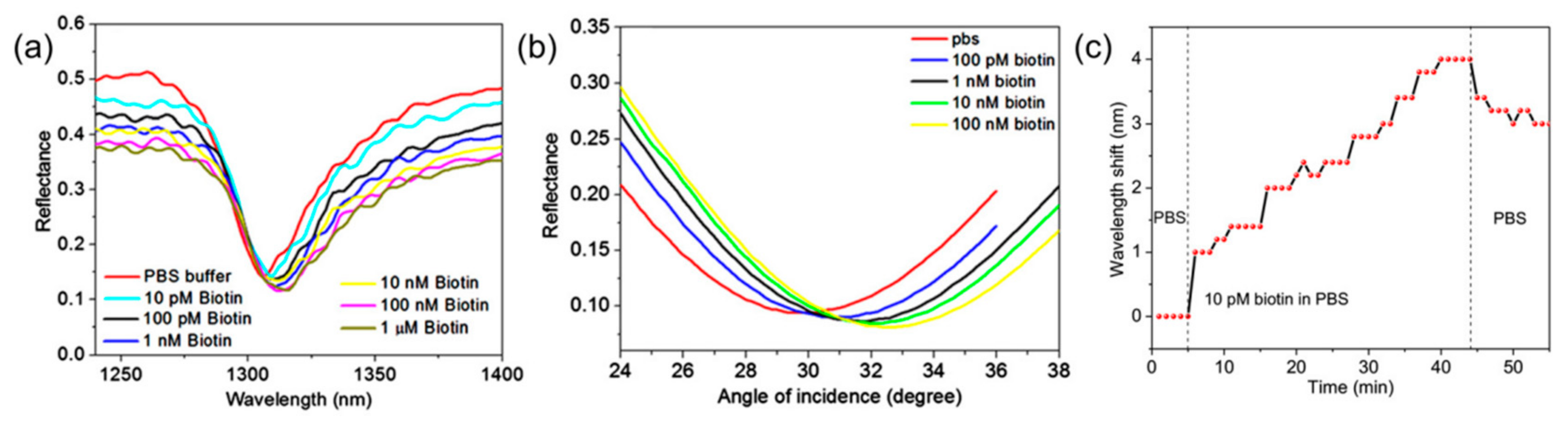 Biosensors 13 00595 g010