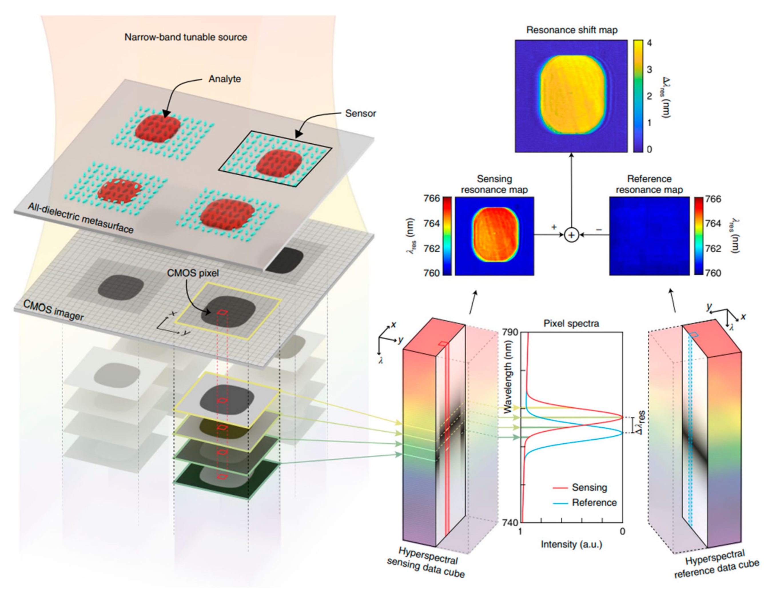 Biosensors 13 00595 g011