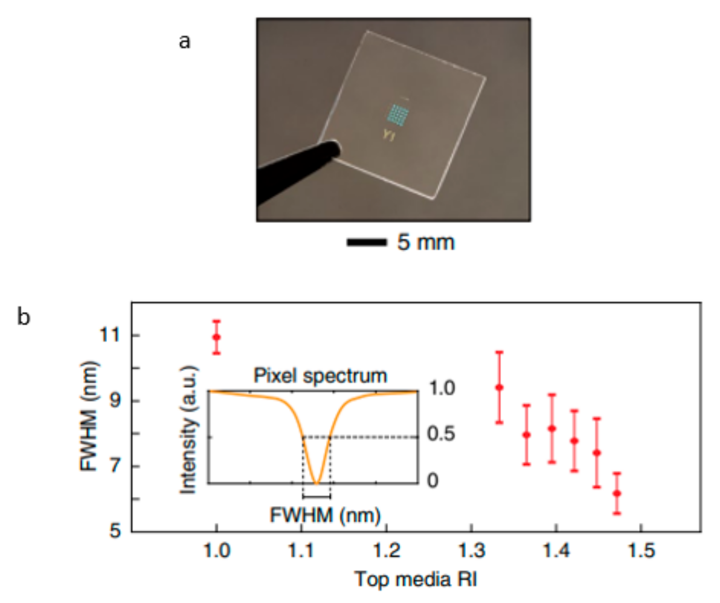 Biosensors 13 00595 g012