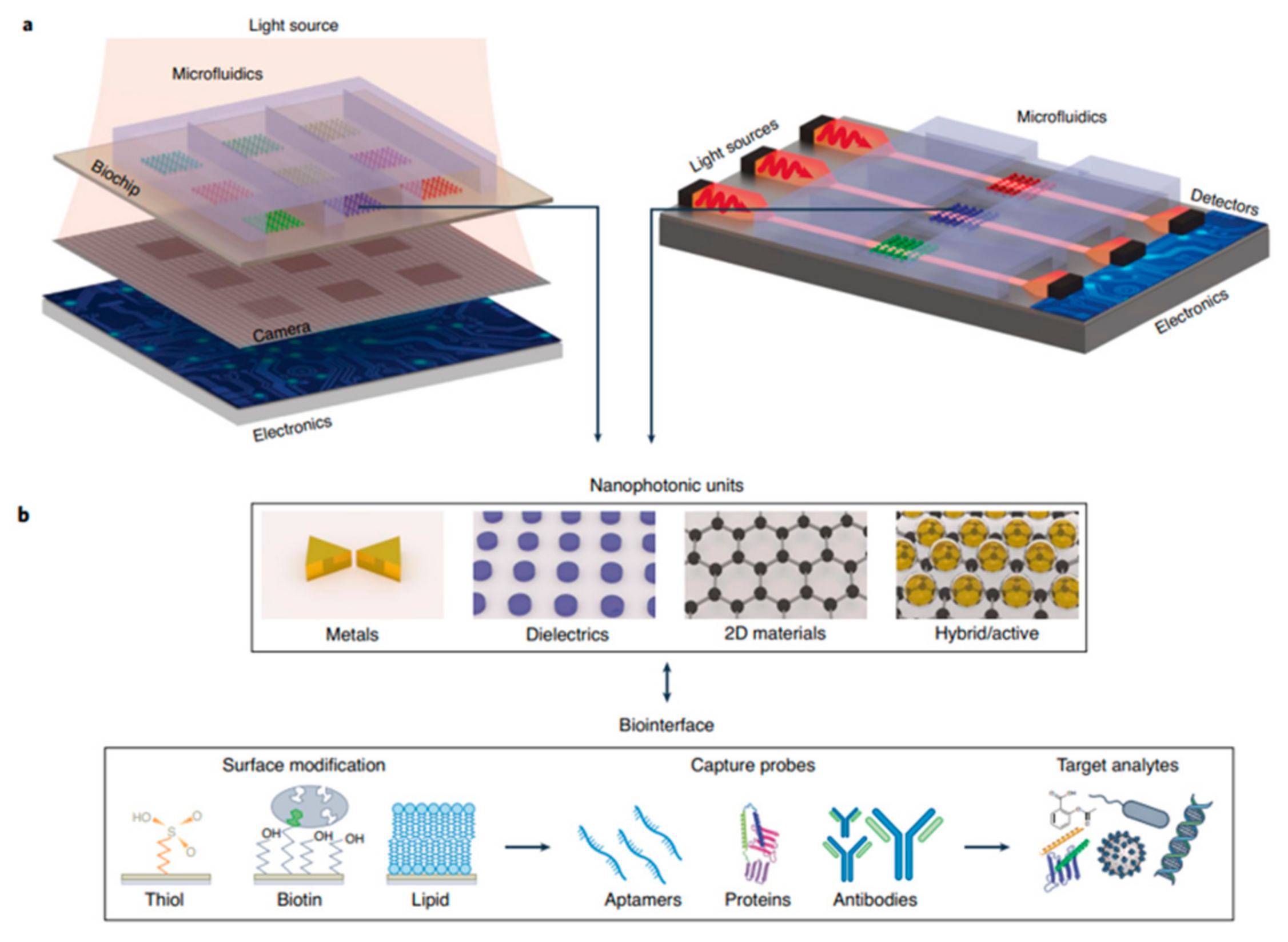 Biosensors 13 00595 g013