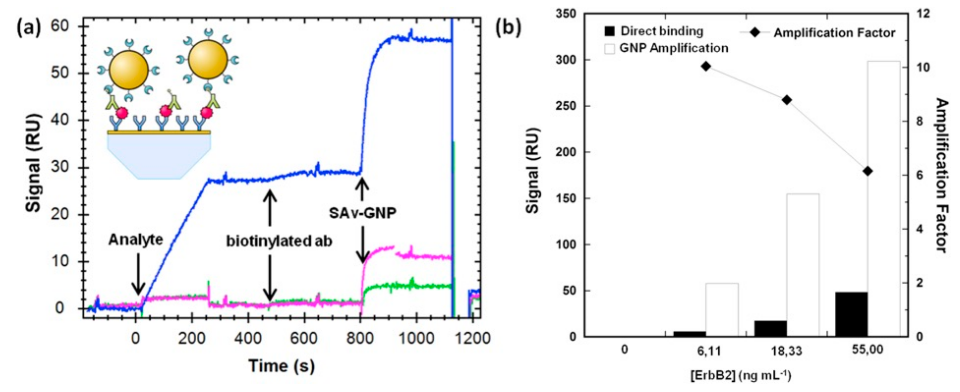 Biosensors 13 00595 g016