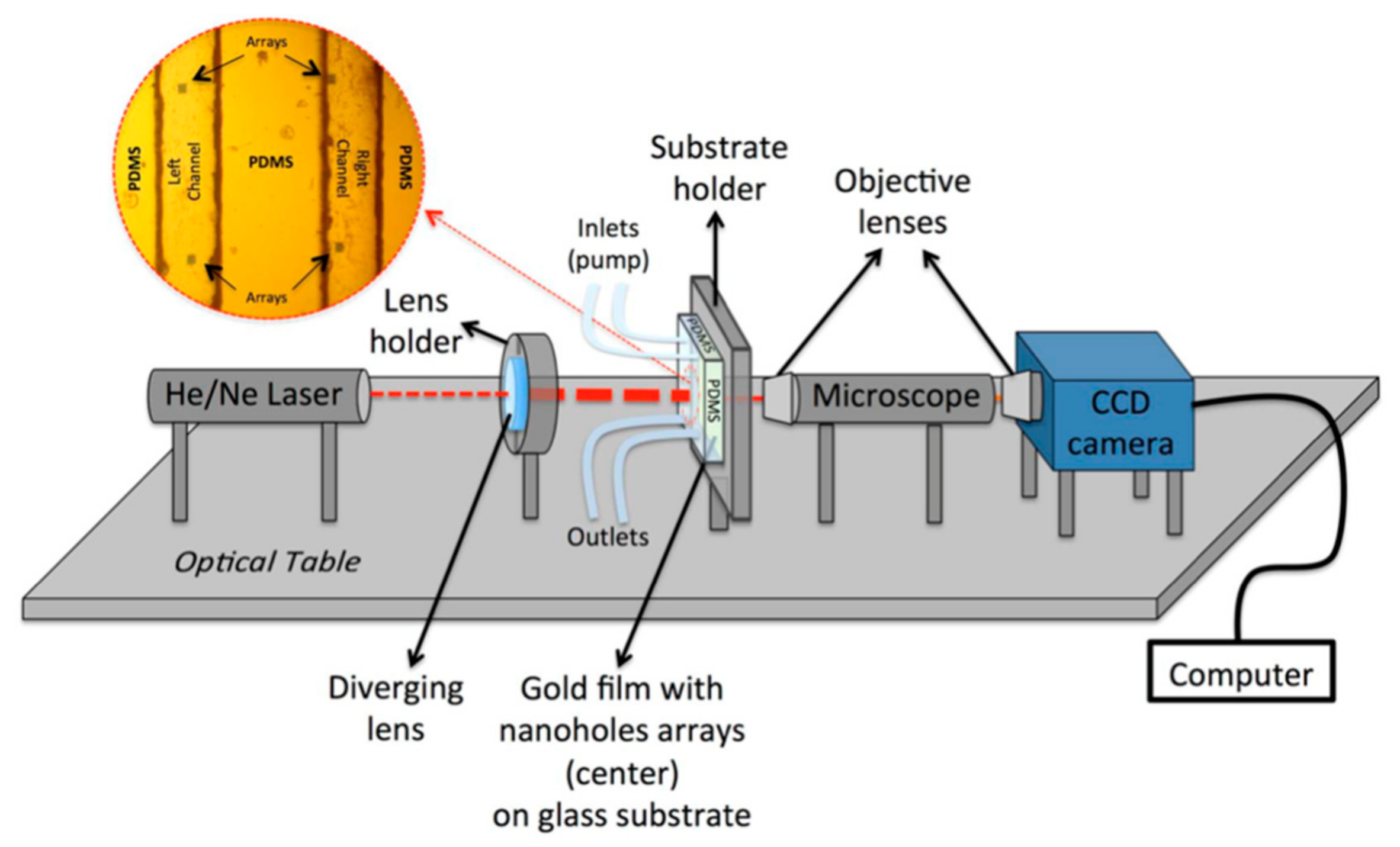 Biosensors 13 00595 g017