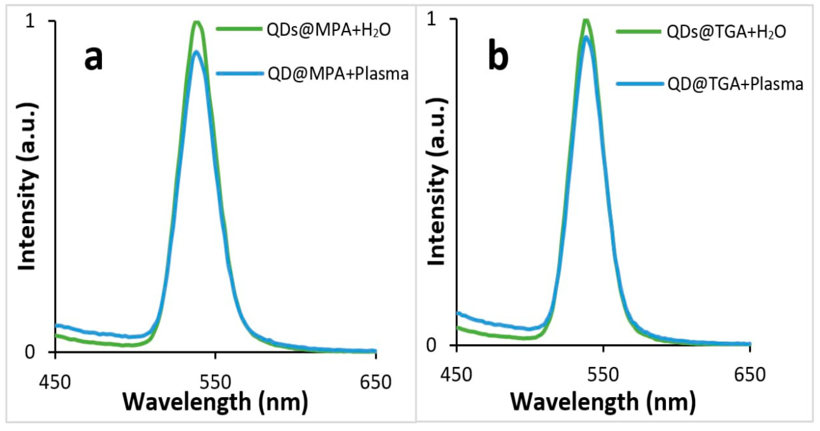 Biosensors 13 00596 g006