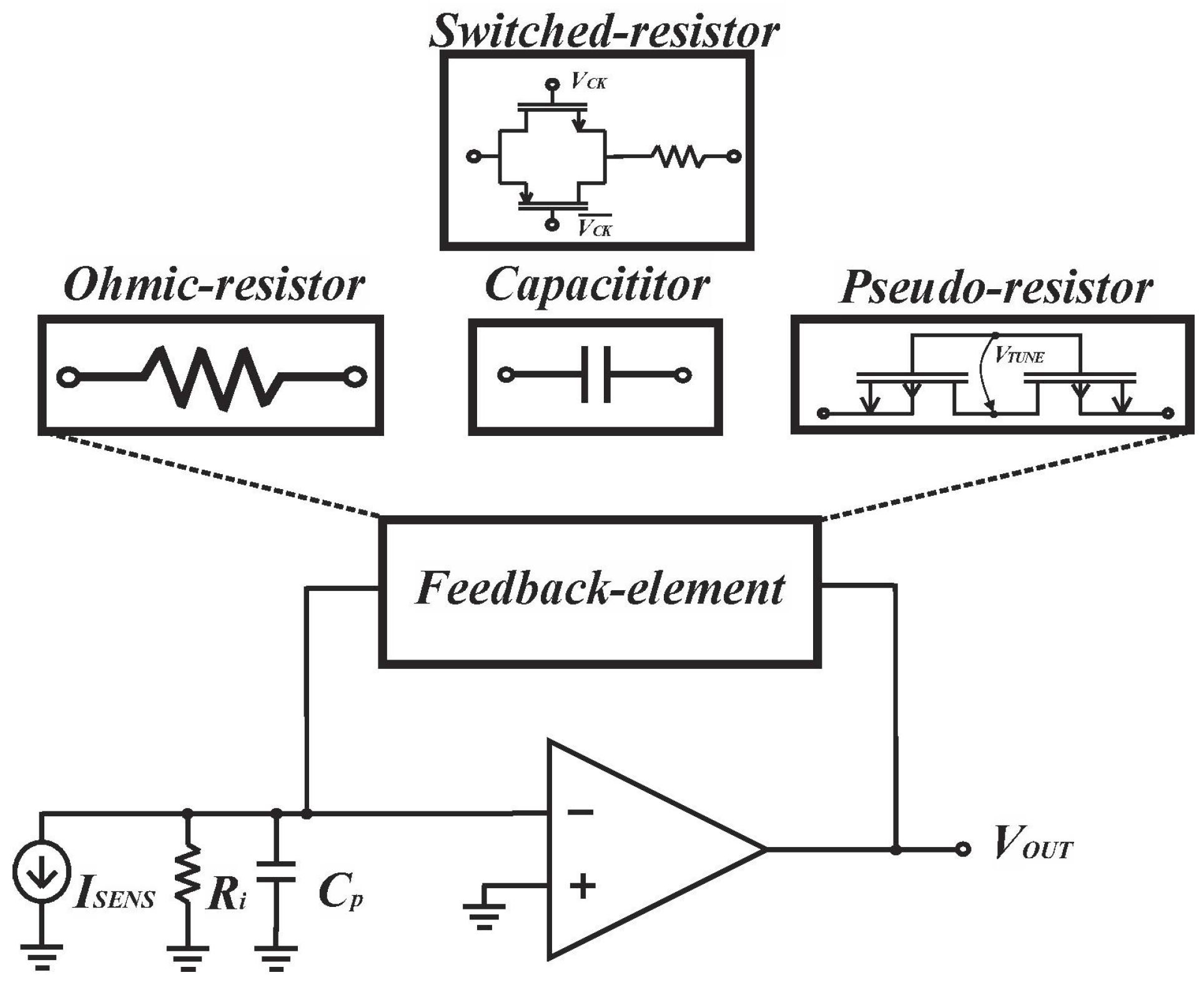 Biosensors 13 00598 g003
