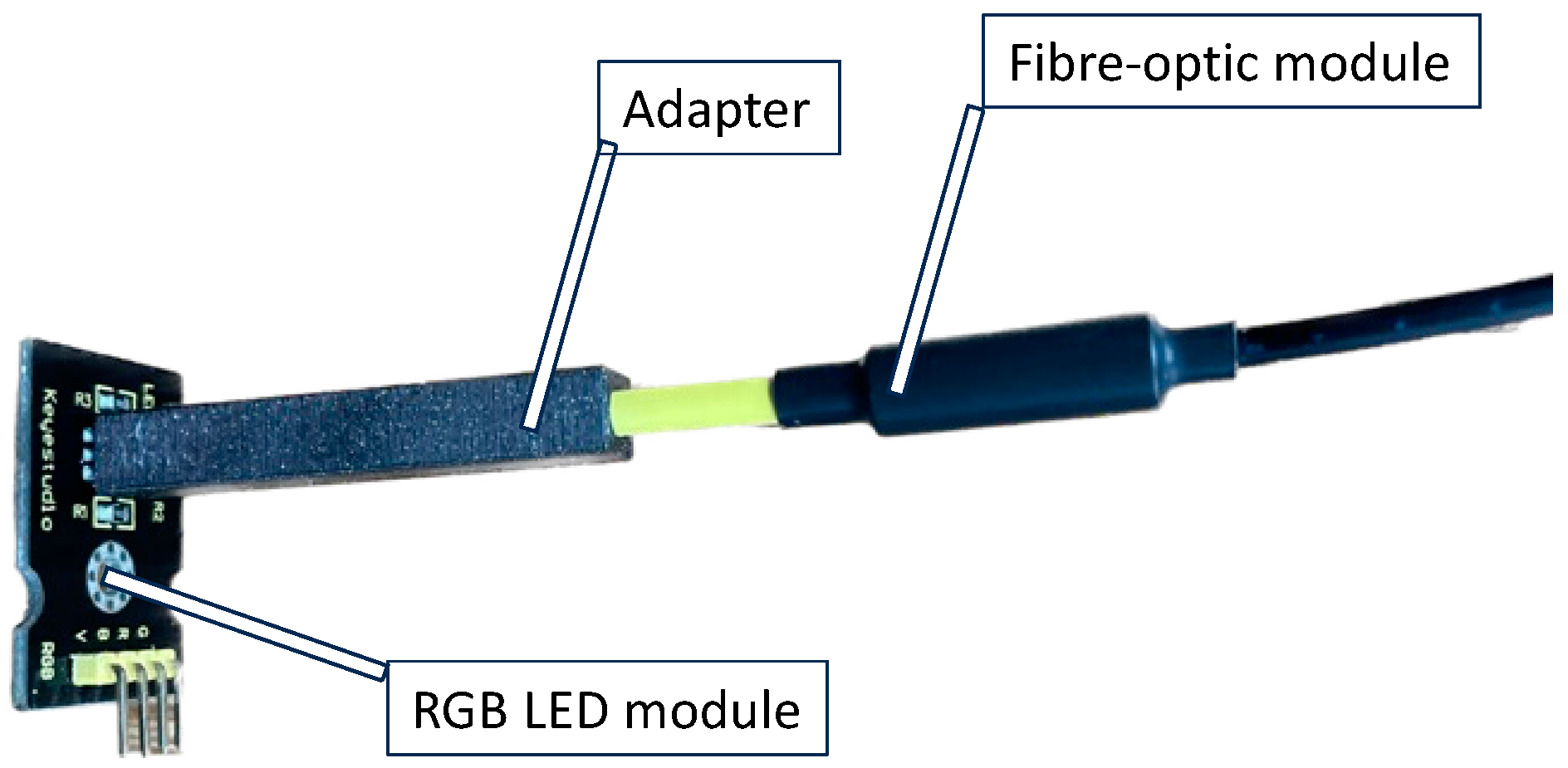 Biosensors 13 00599 g004