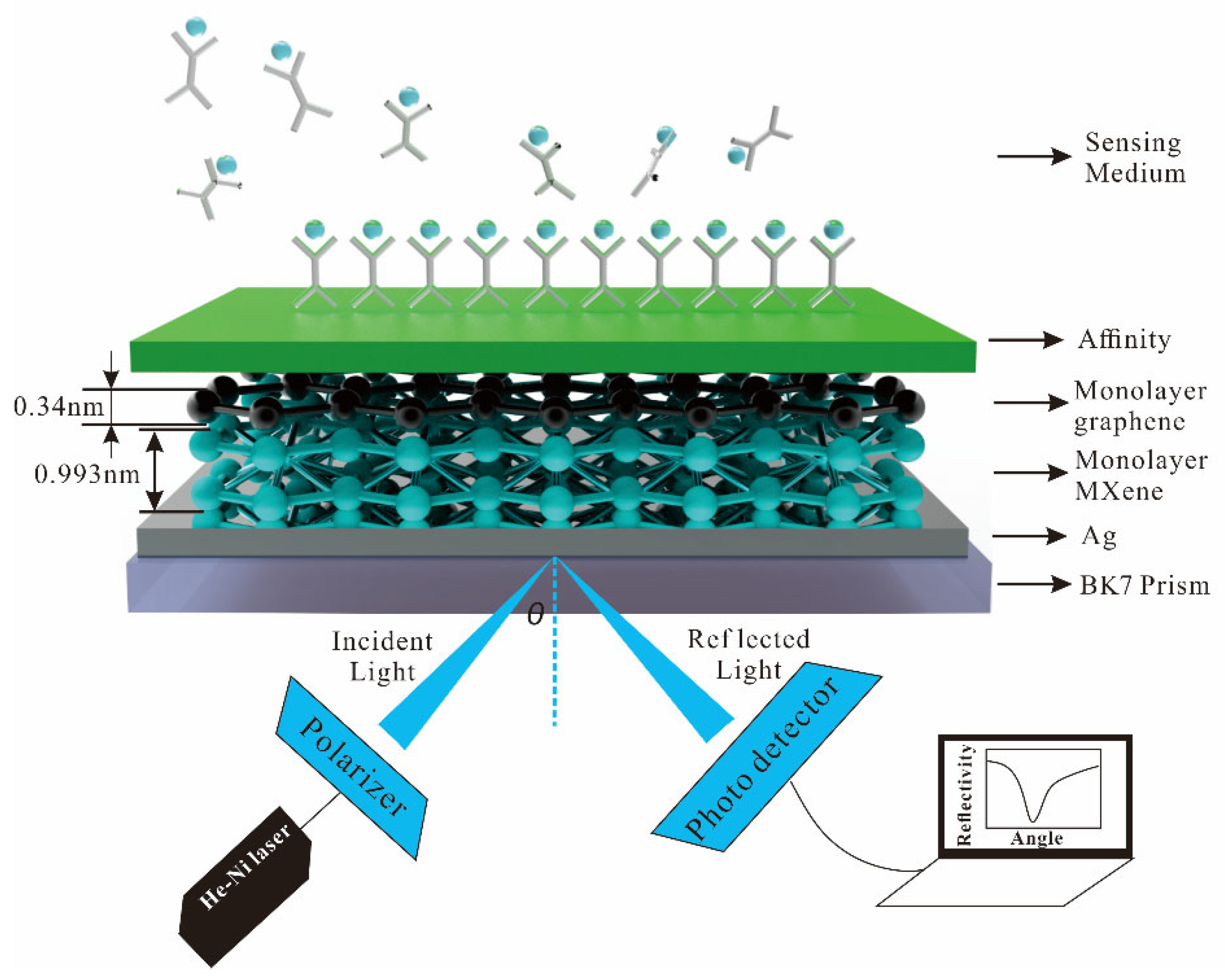 Biosensors 13 00600 g001 Biosensors 13 00600 g001