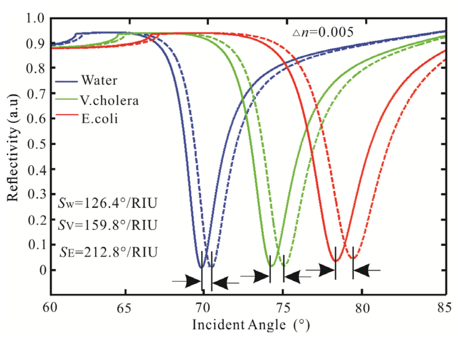Biosensors 13 00600 g003 Biosensors 13 00600 g003
