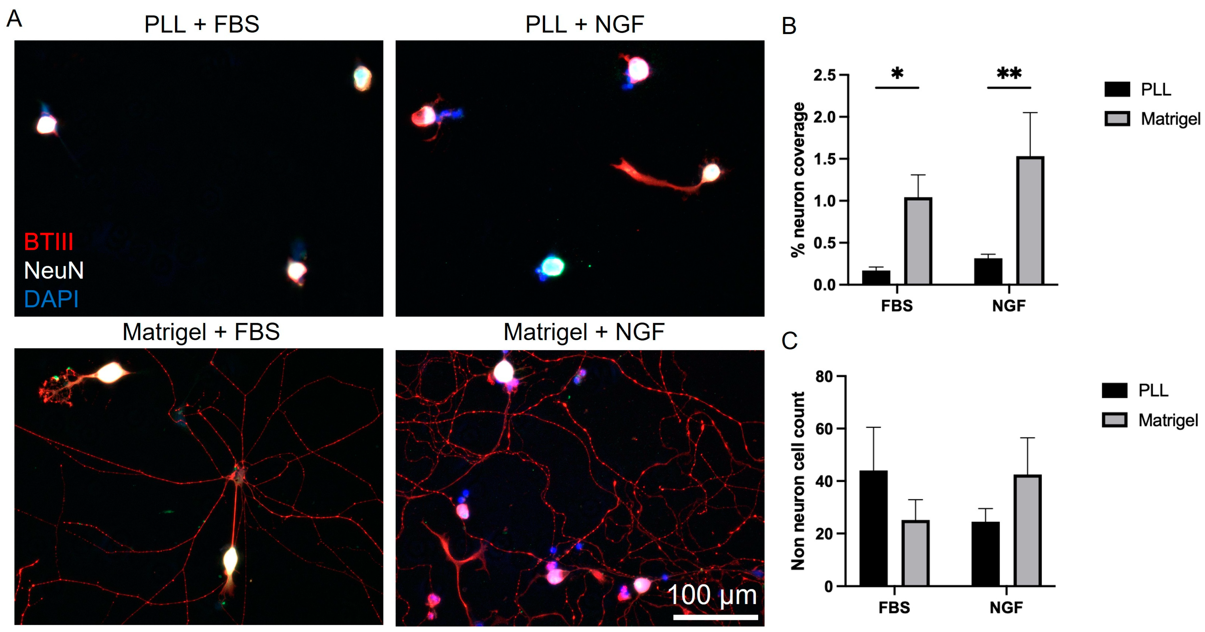 Biosensors 13 00601 g001