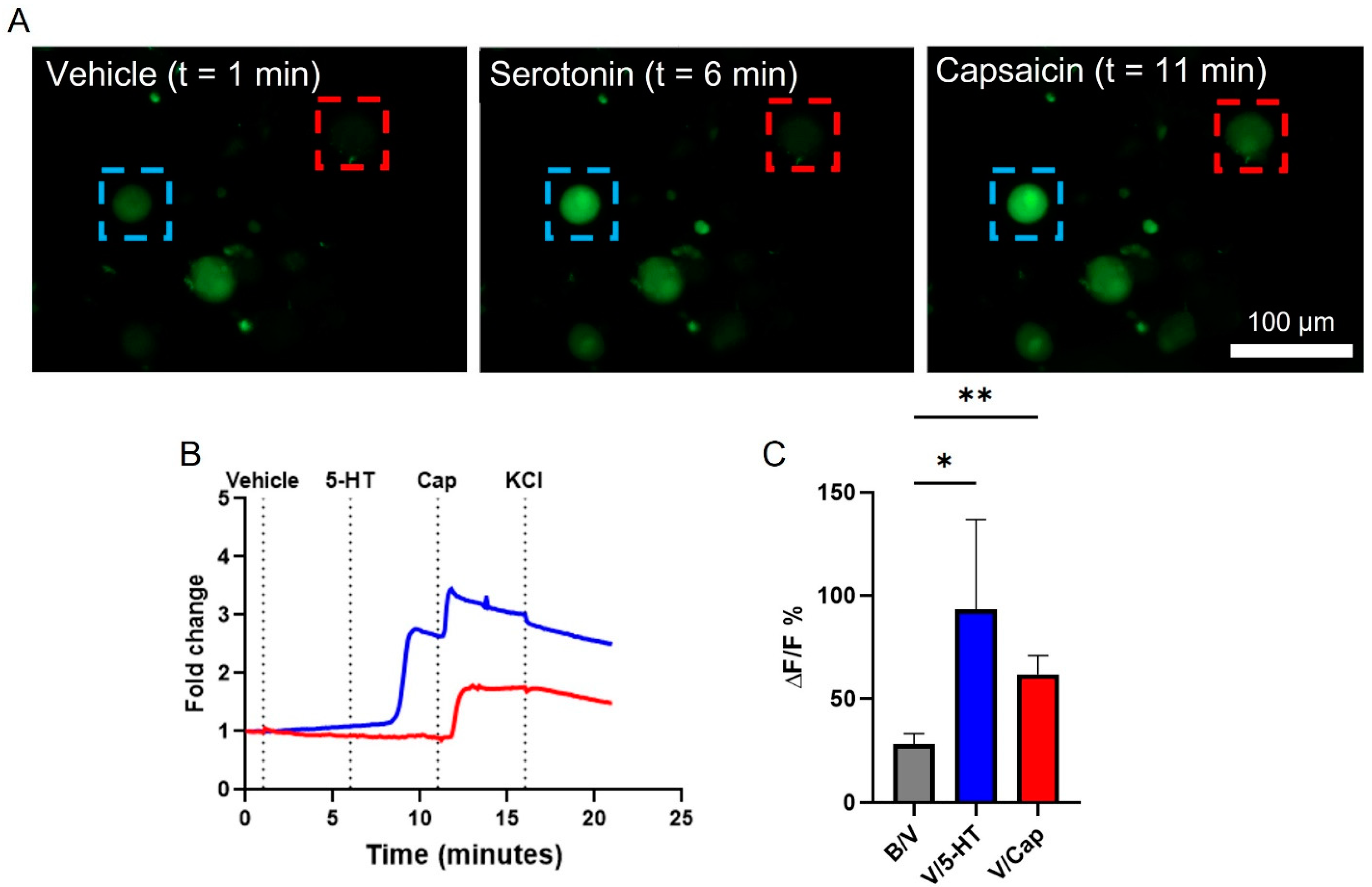 Biosensors 13 00601 g002