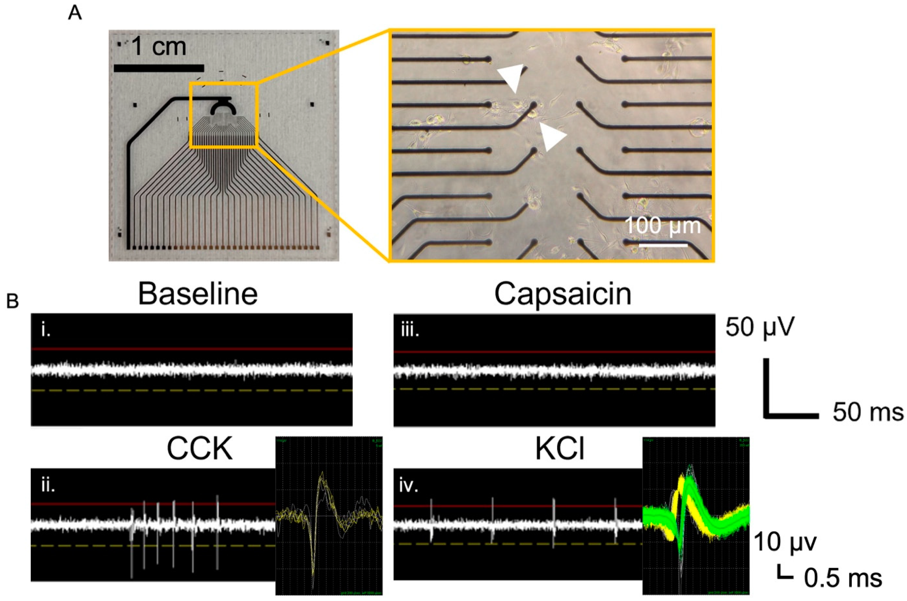 Biosensors 13 00601 g003