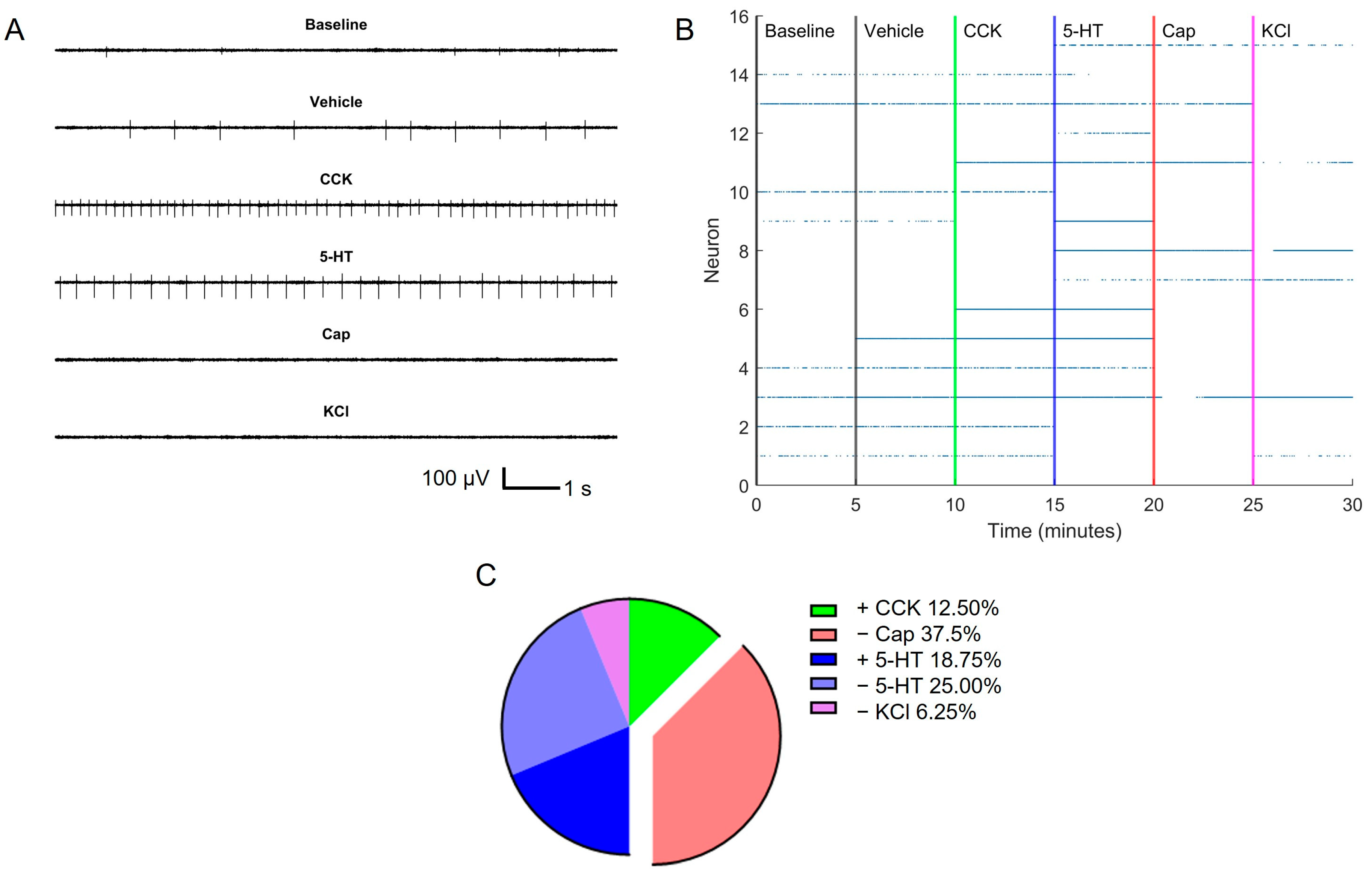 Biosensors 13 00601 g004