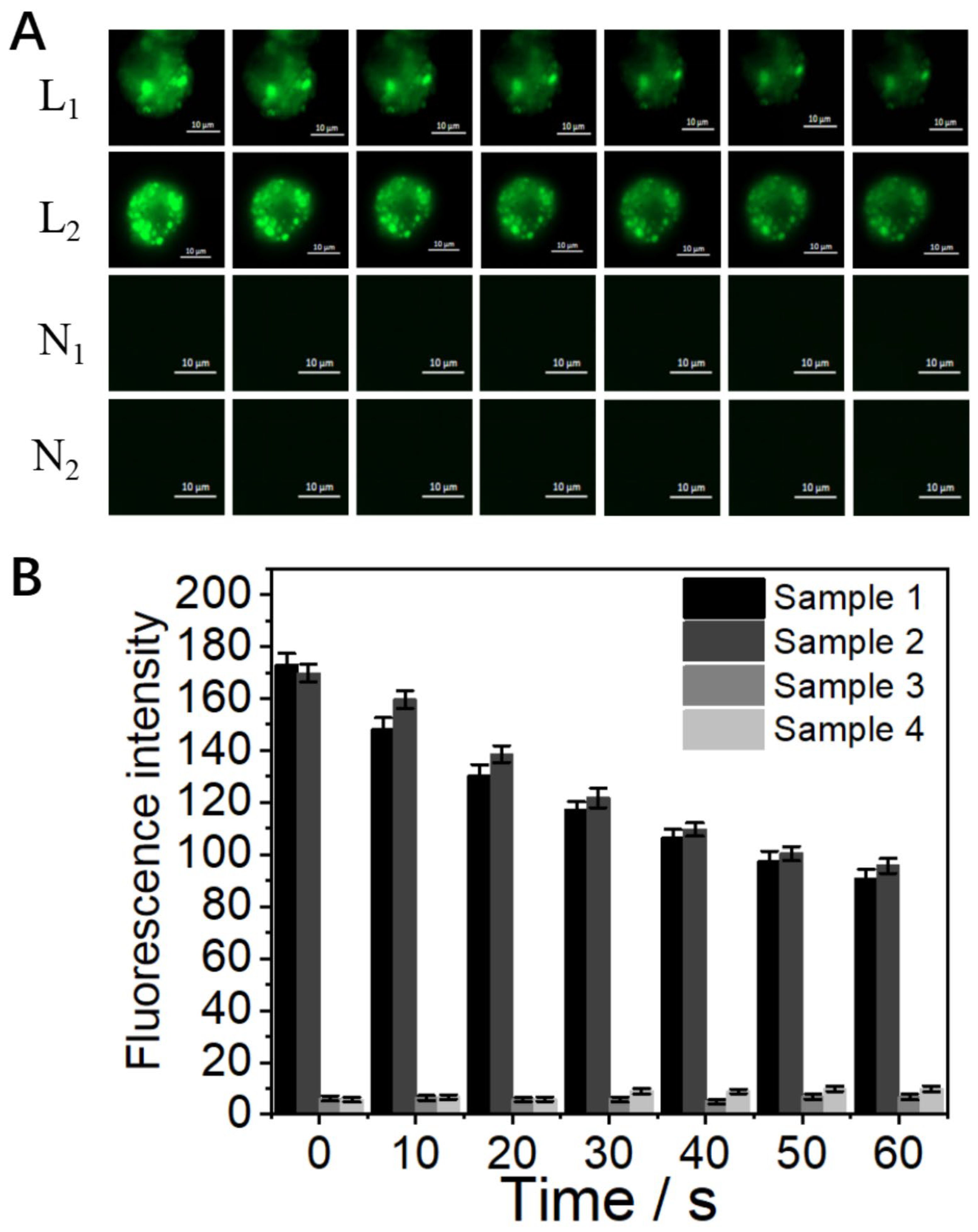 Biosensors 13 00602 g004