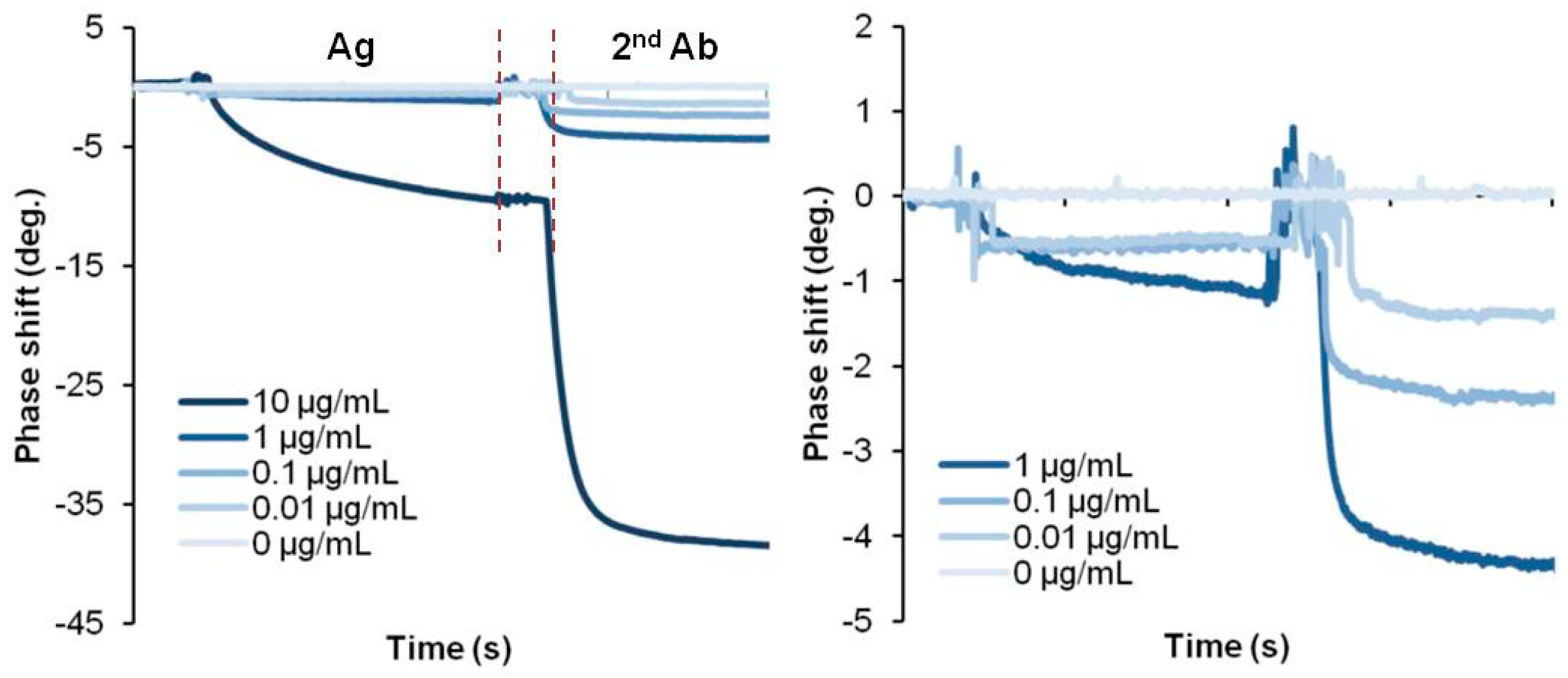 Biosensors 13 00605 g006
