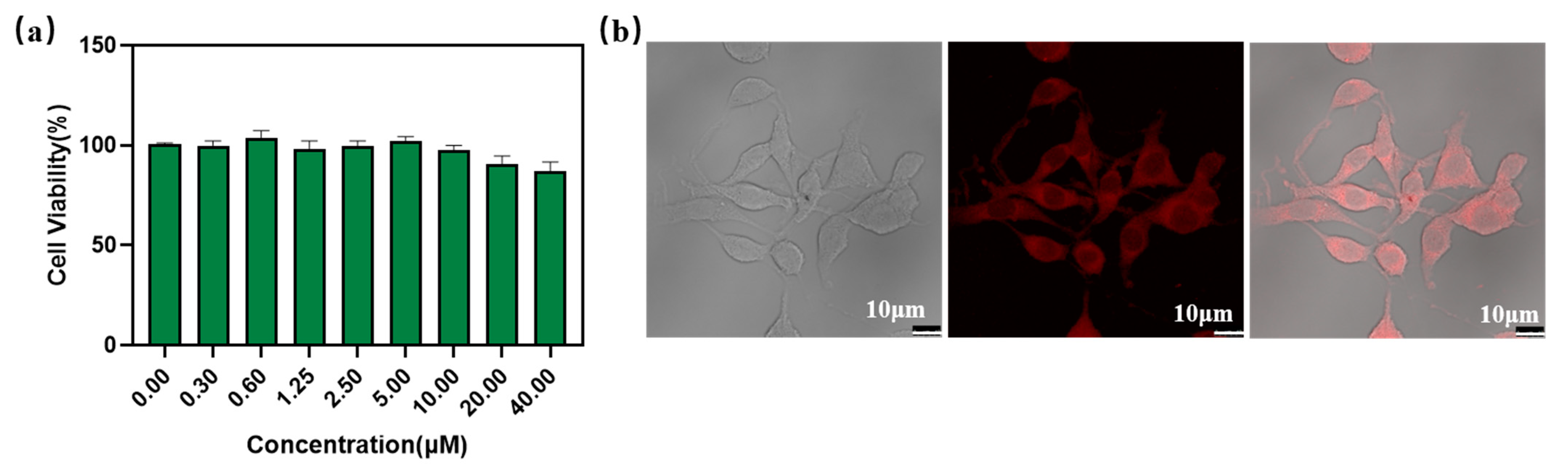 Biosensors 13 00610 g006