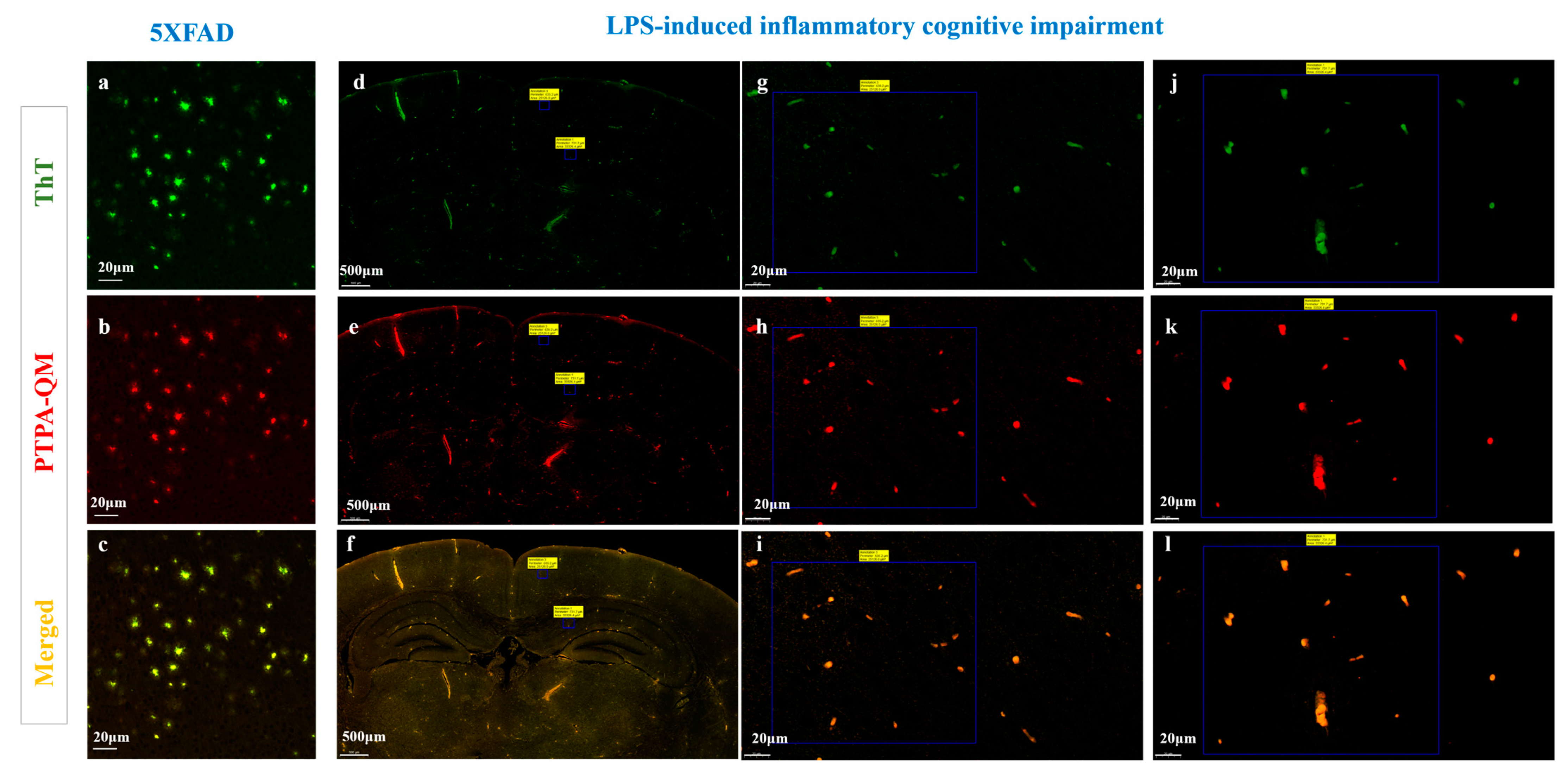 Biosensors 13 00610 g008