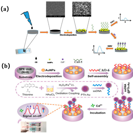 Biosensors 13 00612 g002