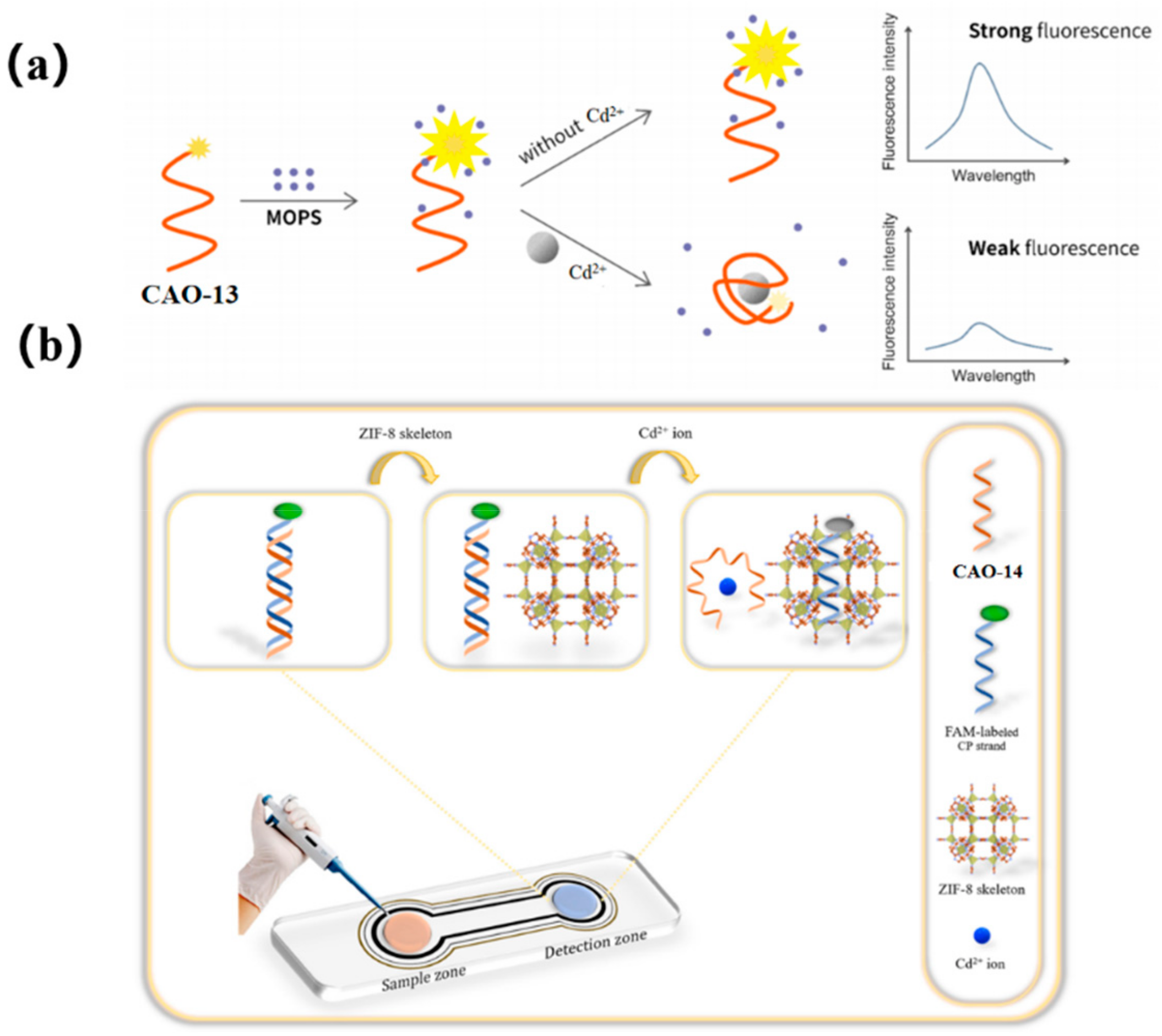 Biosensors 13 00612 g006