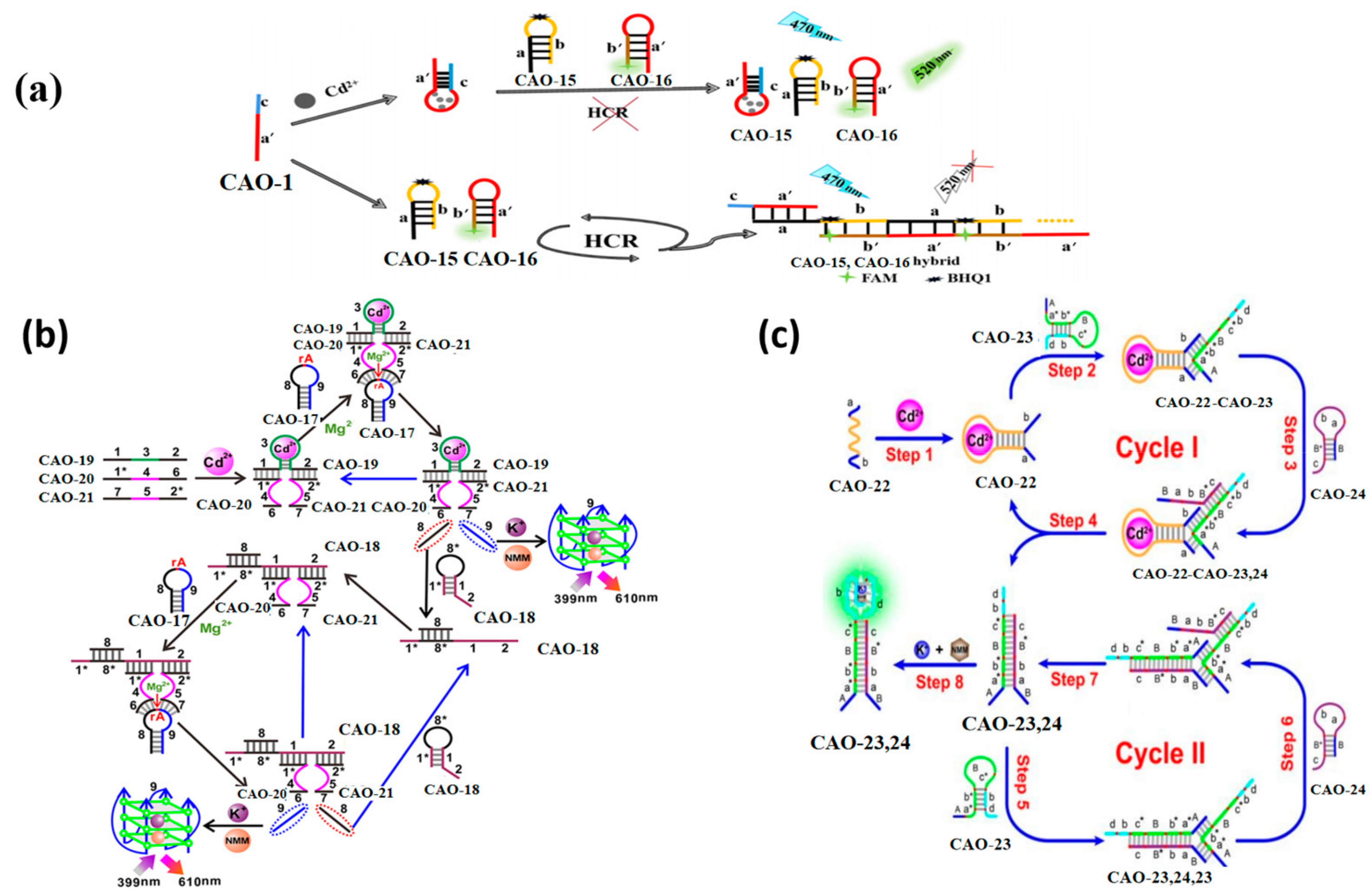 Biosensors 13 00612 g007