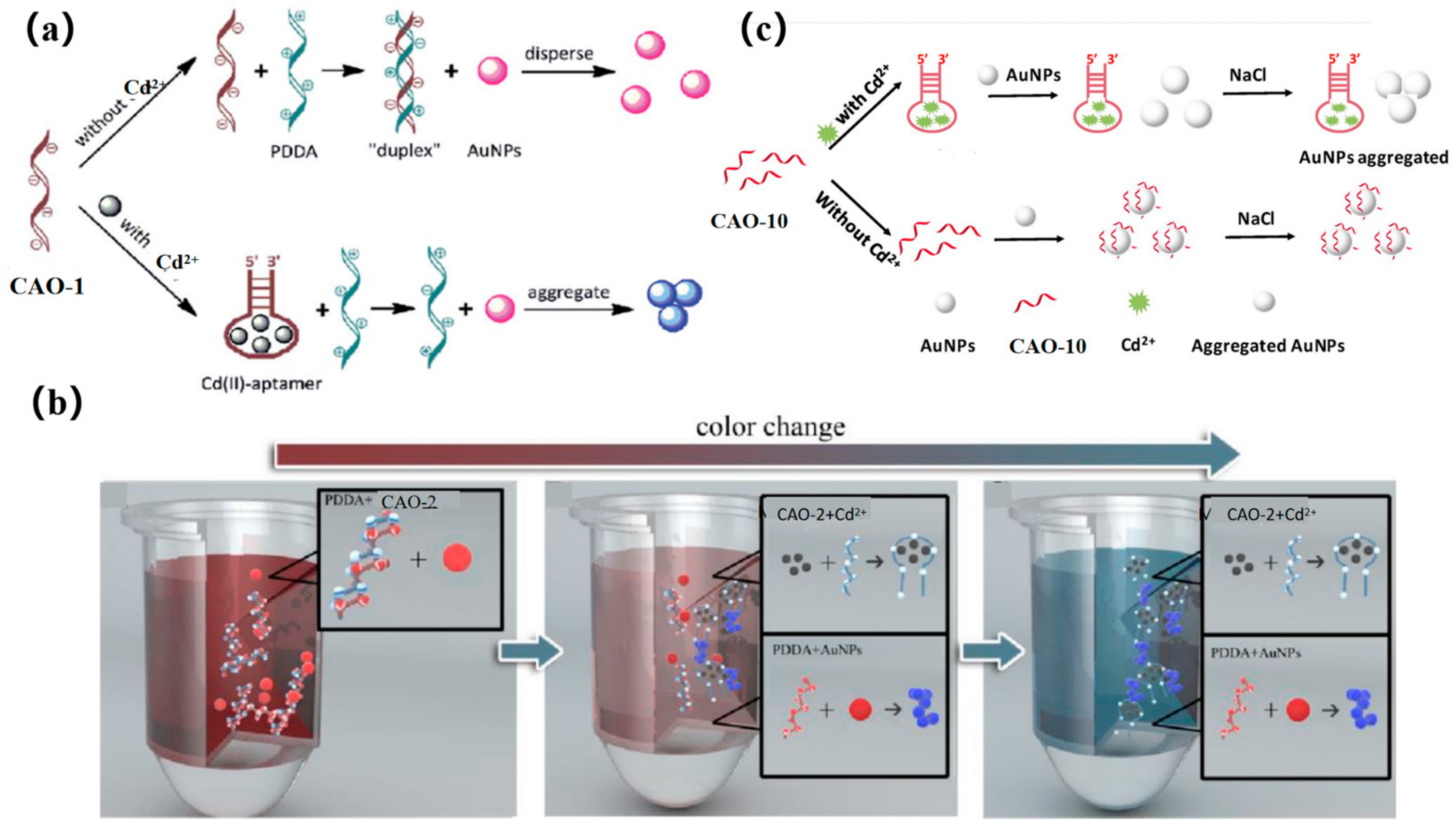 Biosensors 13 00612 g008