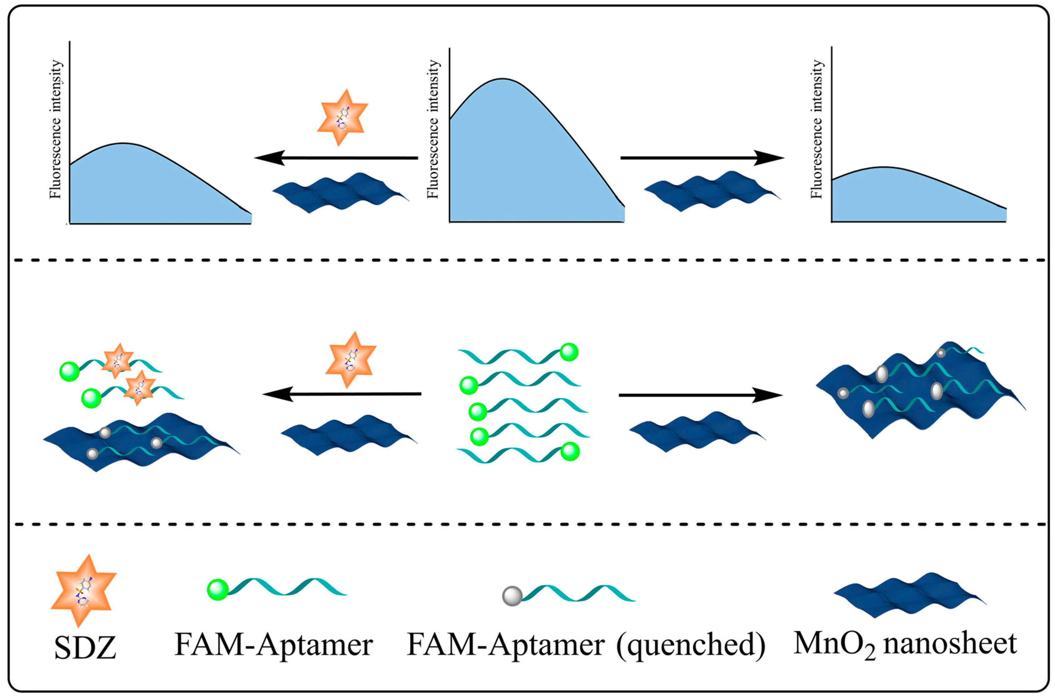 Biosensors 13 00613 g001