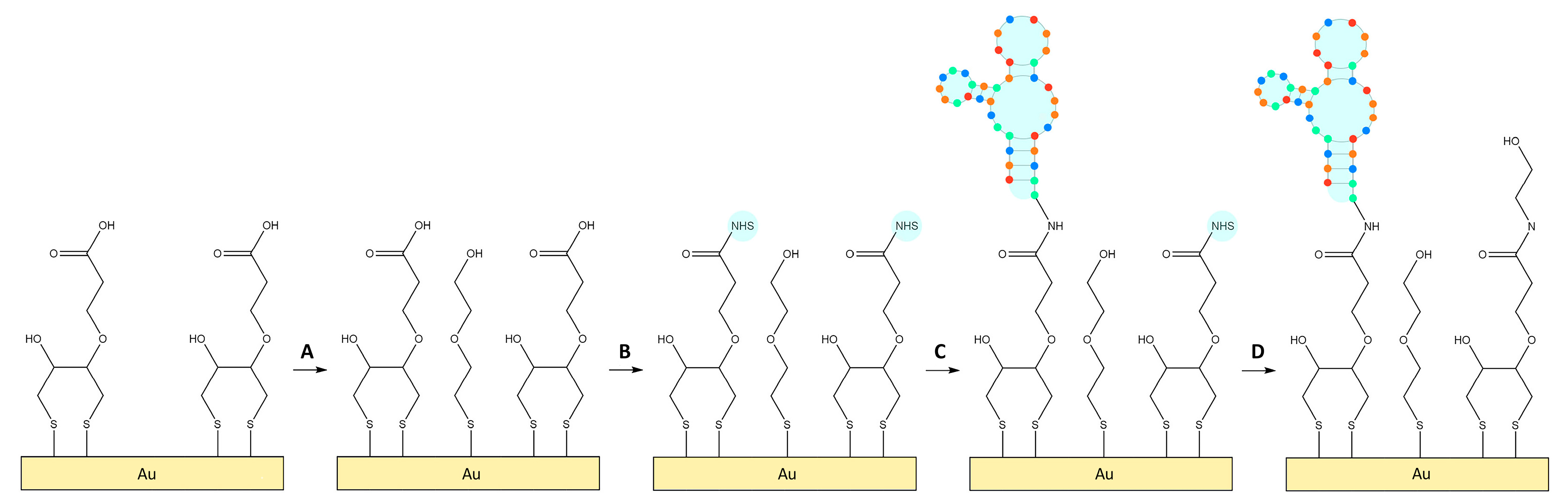 Biosensors 13 00614 g002