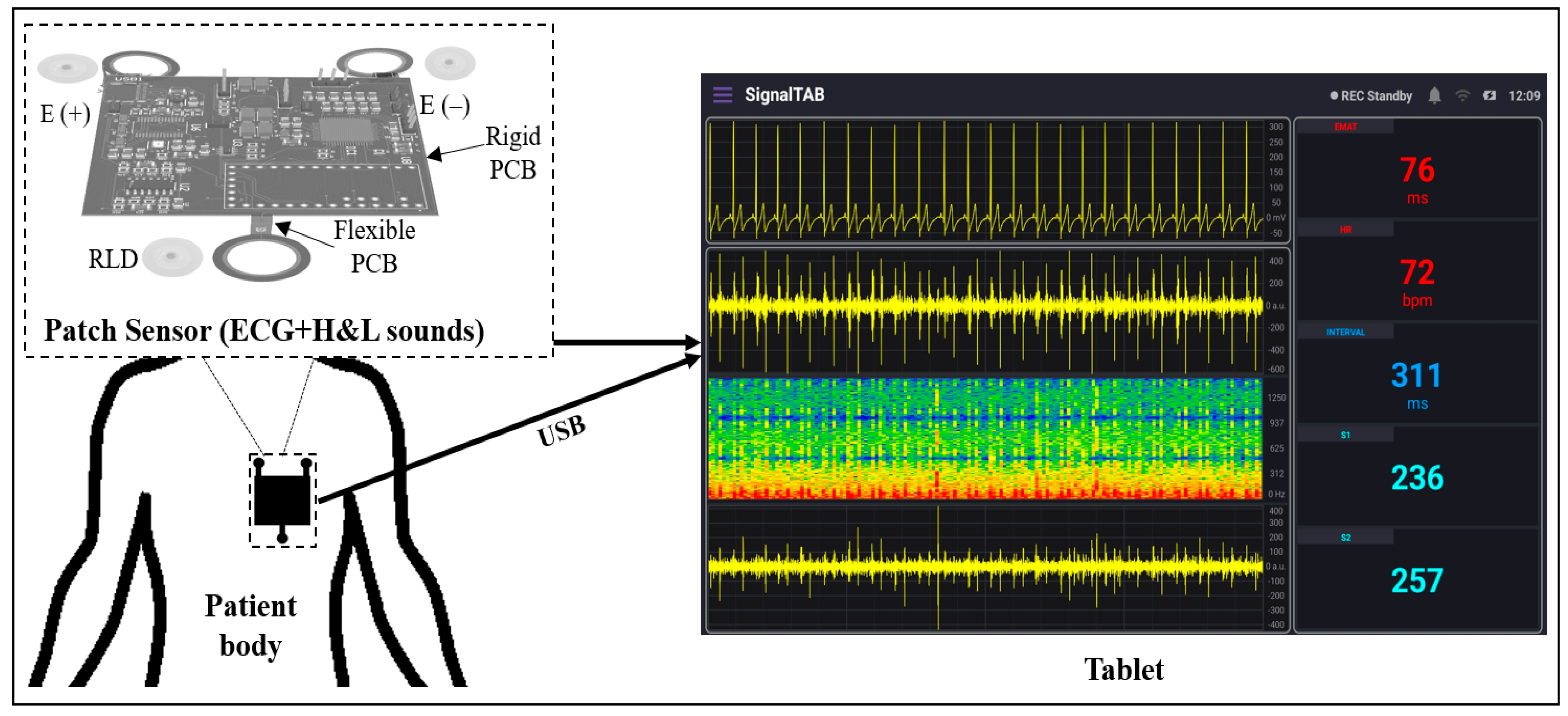 Biosensors 13 00615 g001