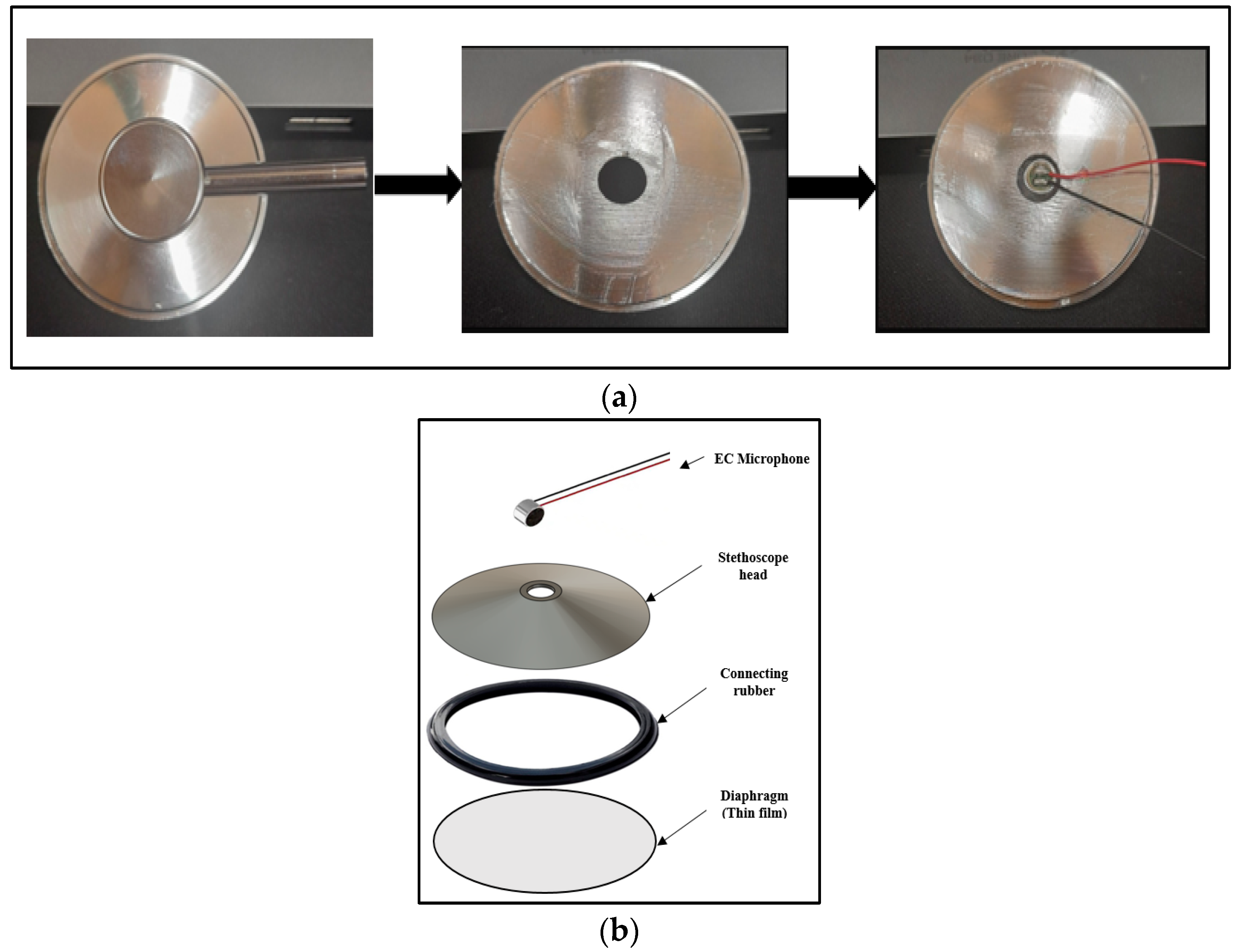 Biosensors 13 00615 g003