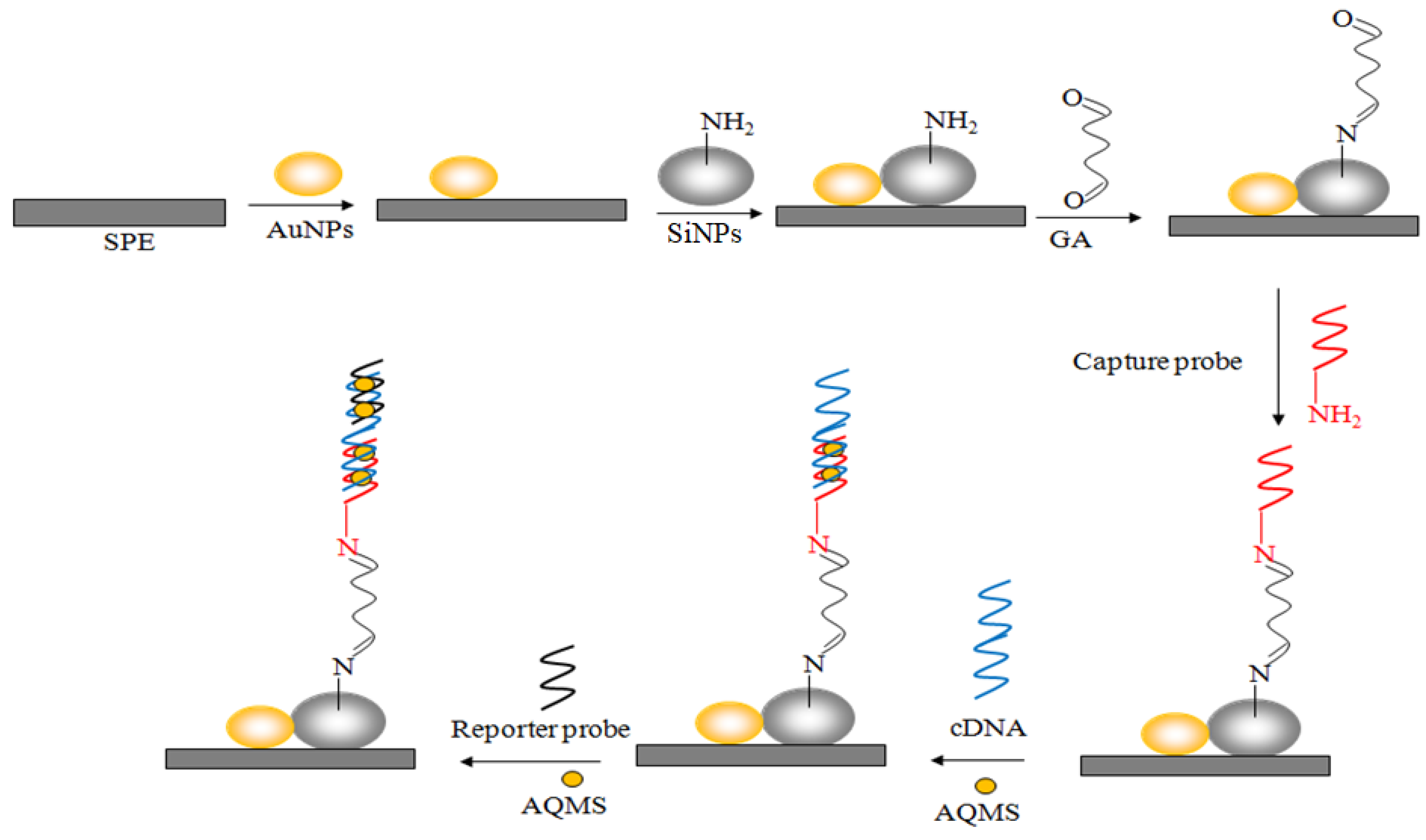 Biosensors 13 00616 g001