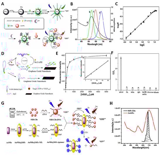 Biosensors 13 00617 g002