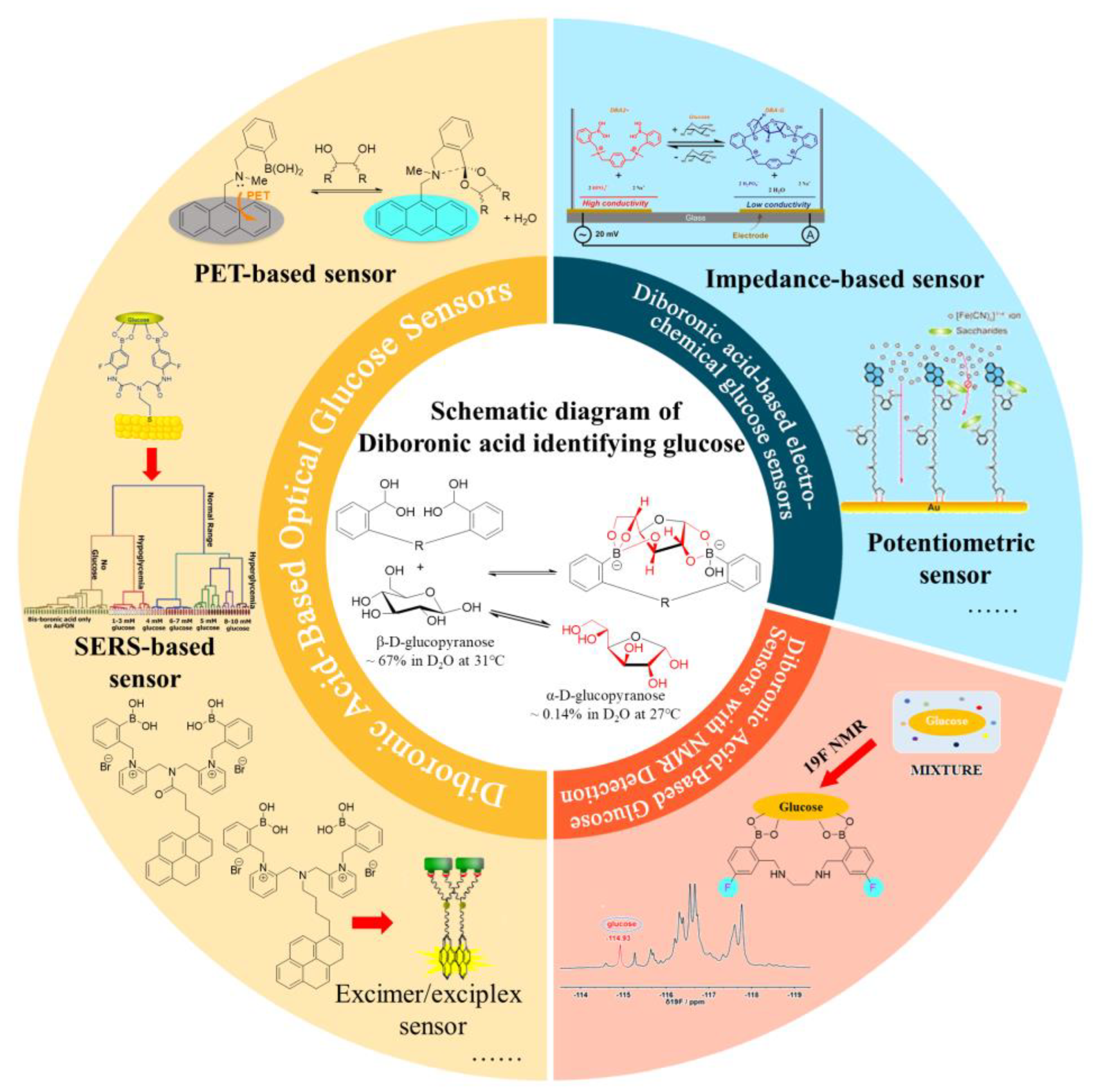 Biosensors 13 00618 g001