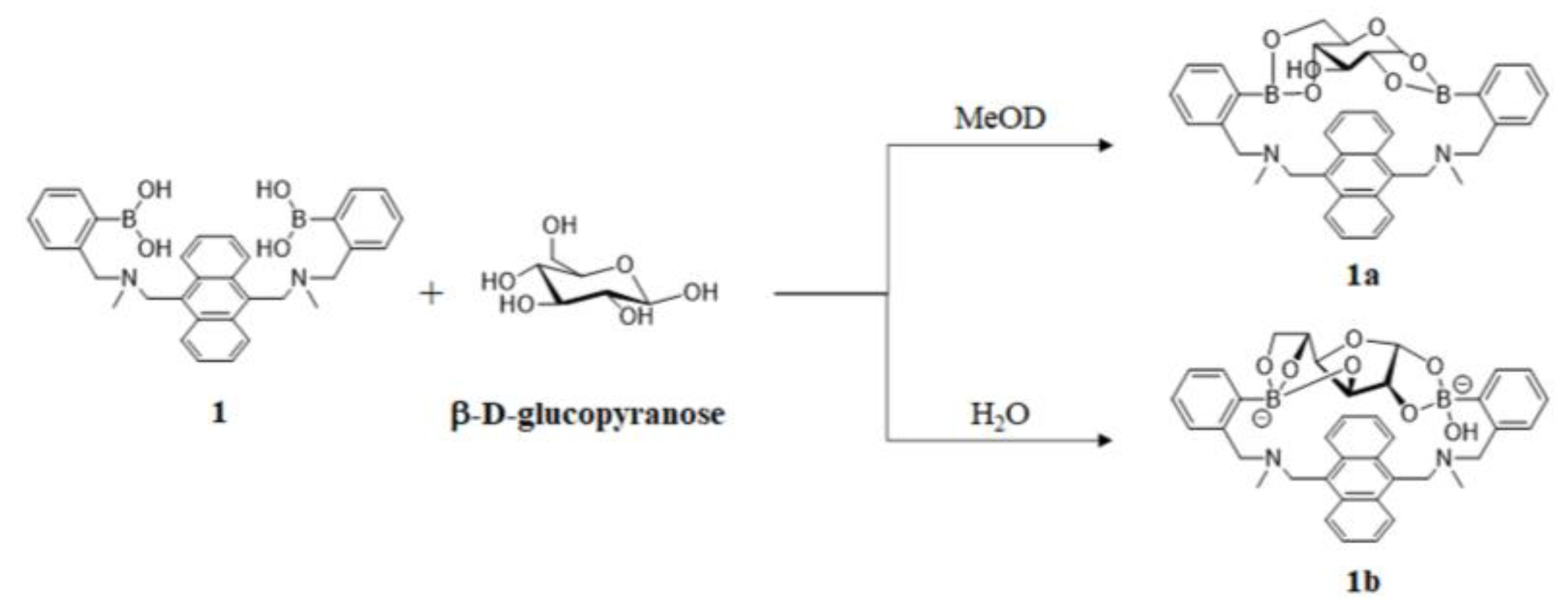 Biosensors 13 00618 g003