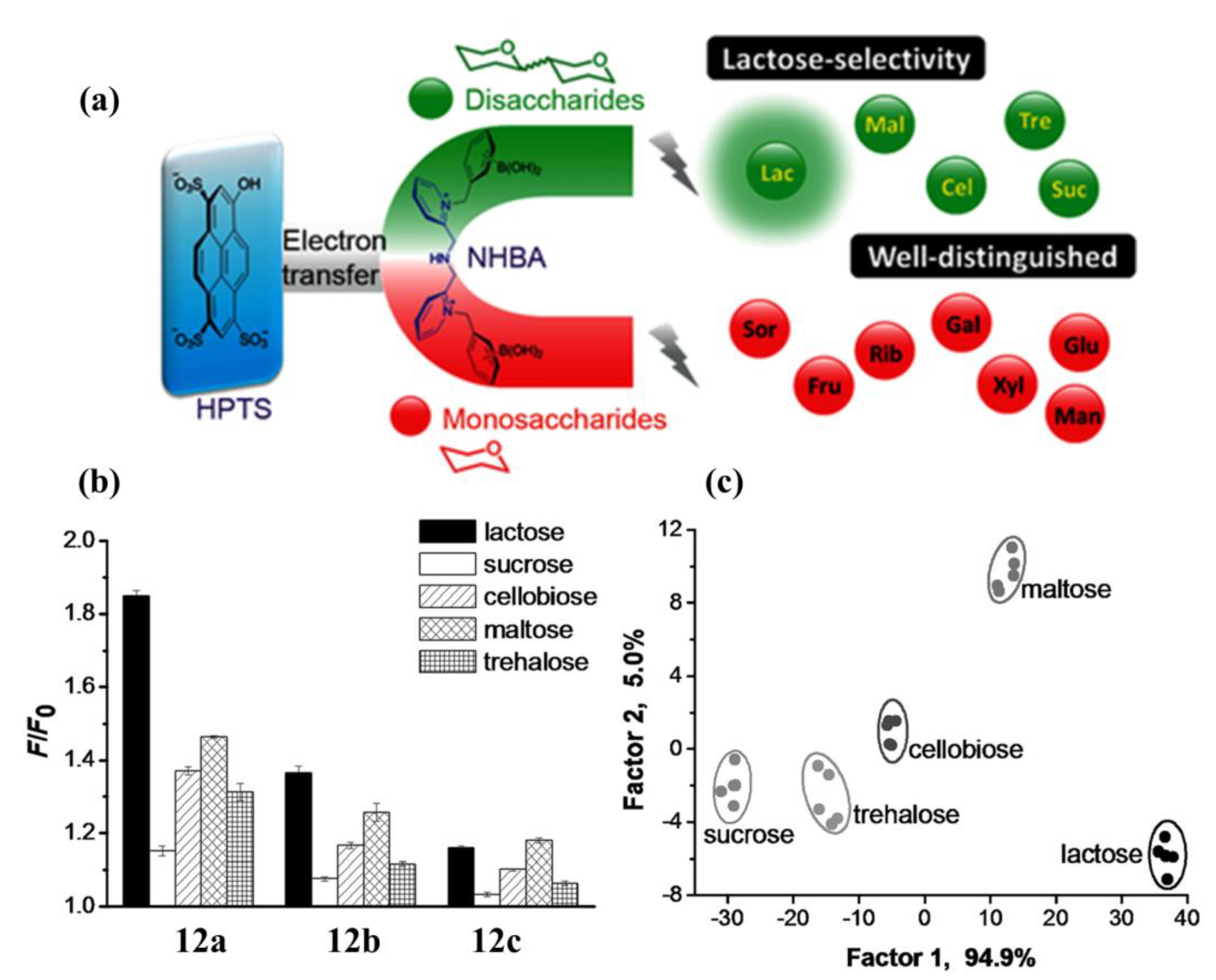 Biosensors 13 00618 g011