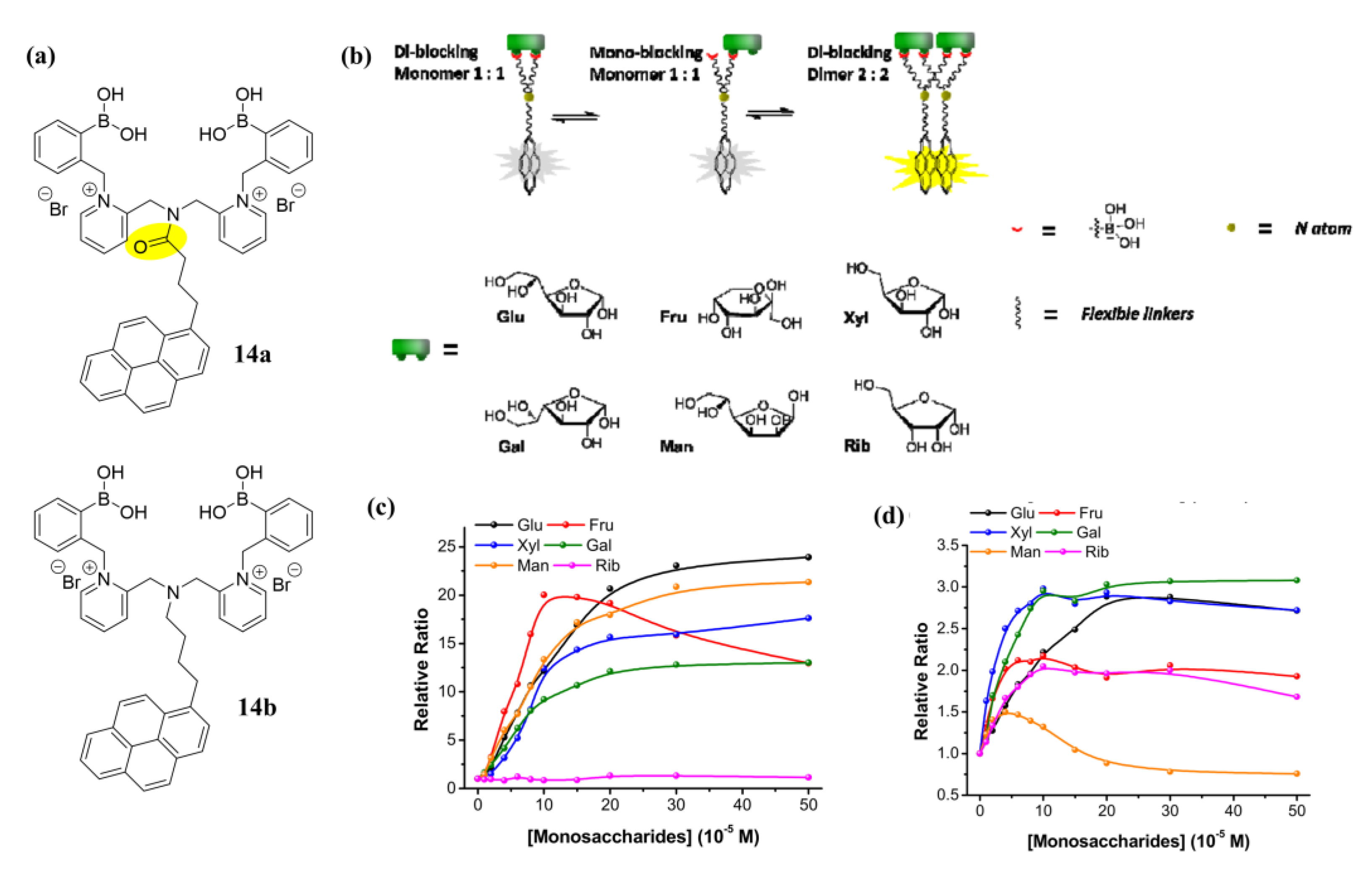 Biosensors 13 00618 g013