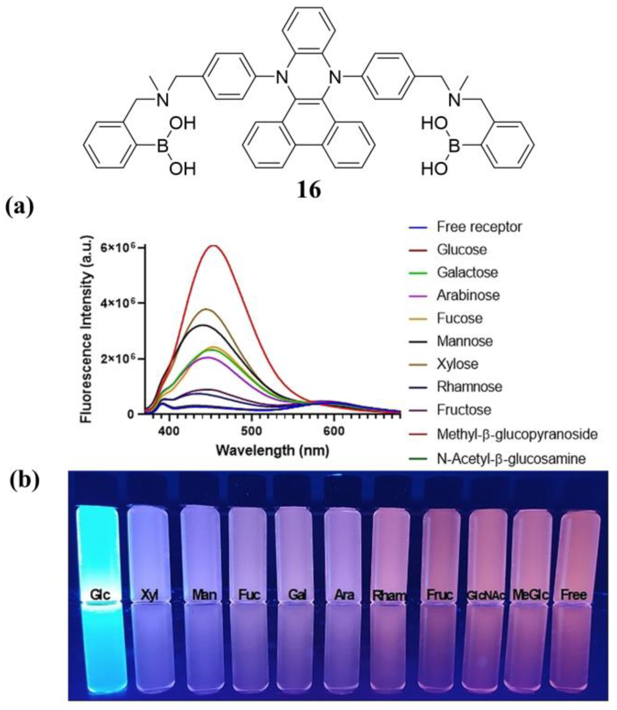 Biosensors 13 00618 g015