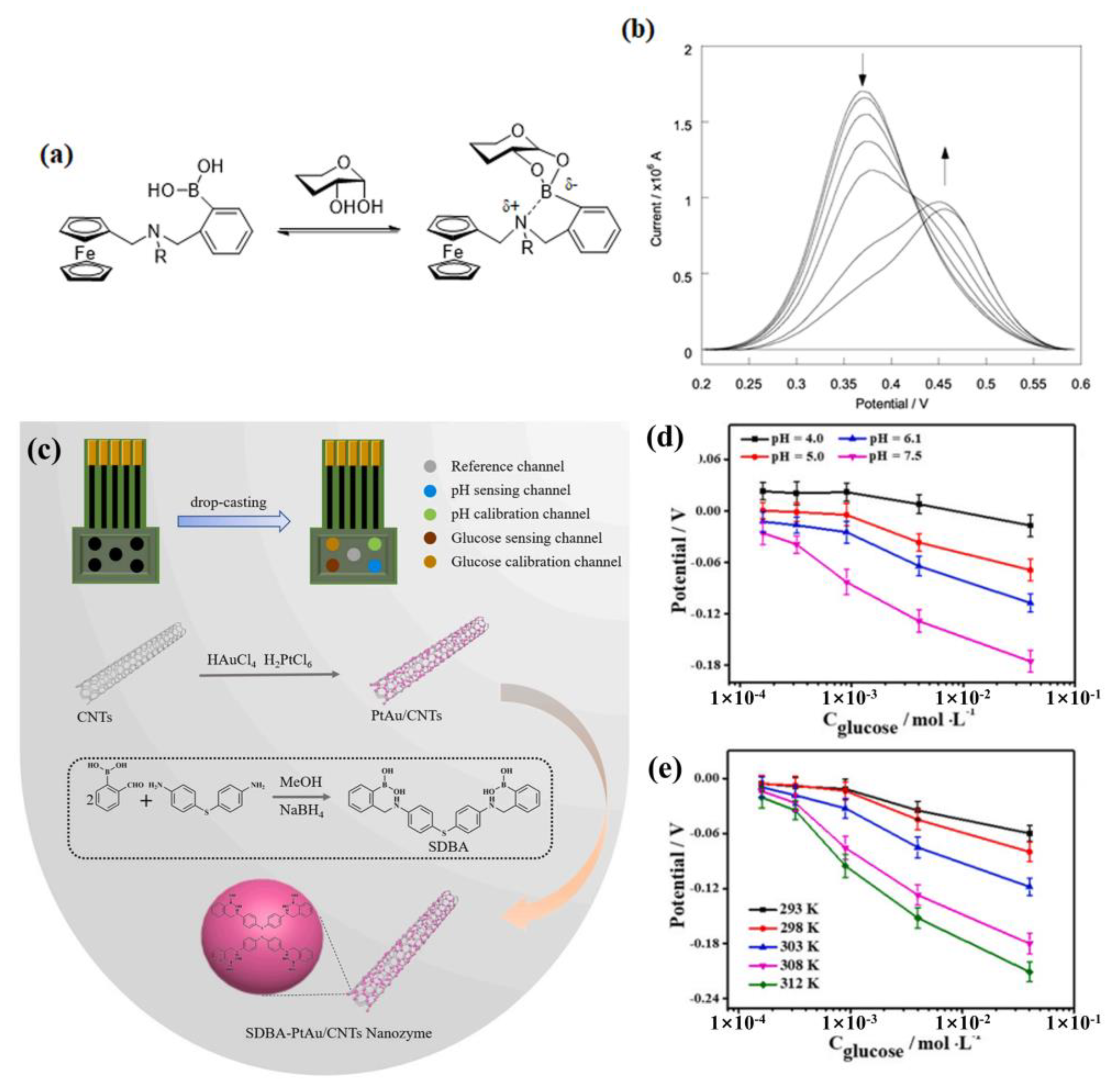Biosensors 13 00618 g017