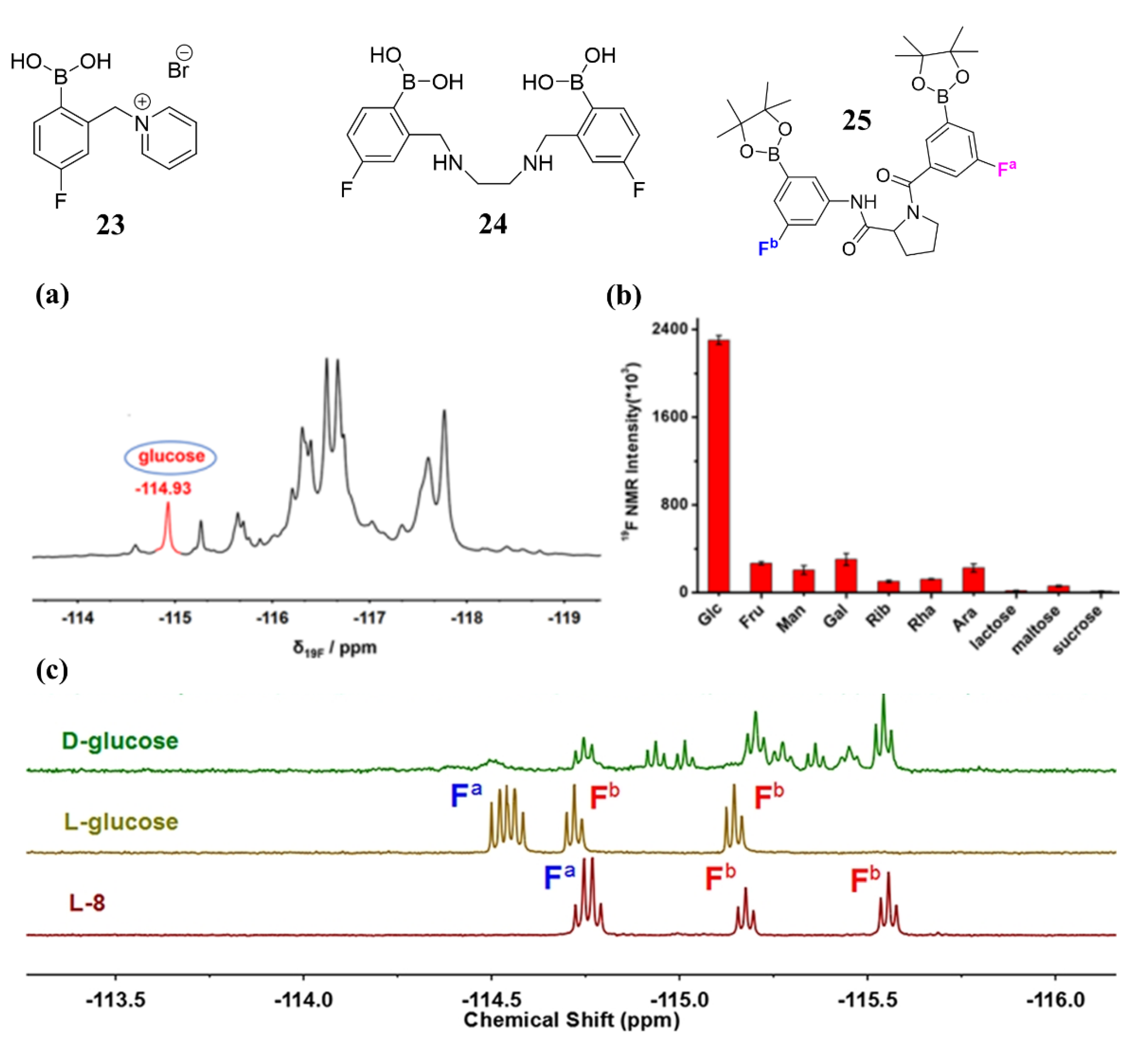 Biosensors 13 00618 g020