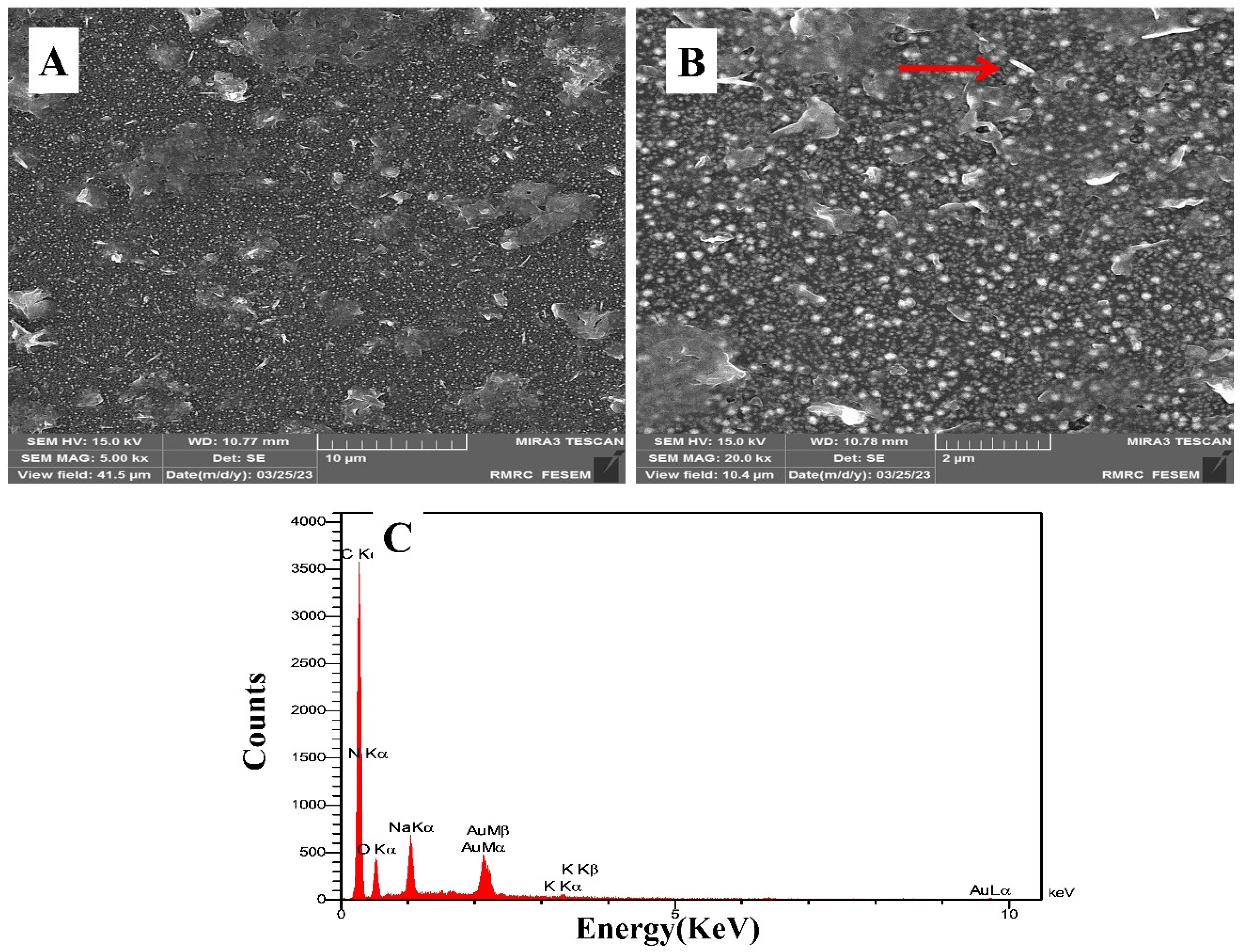 Biosensors 13 00619 g001