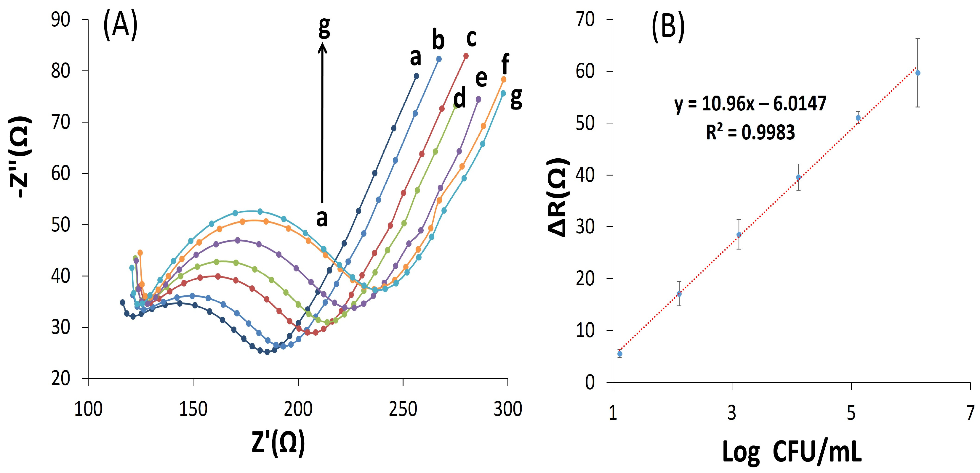 Biosensors 13 00619 g005