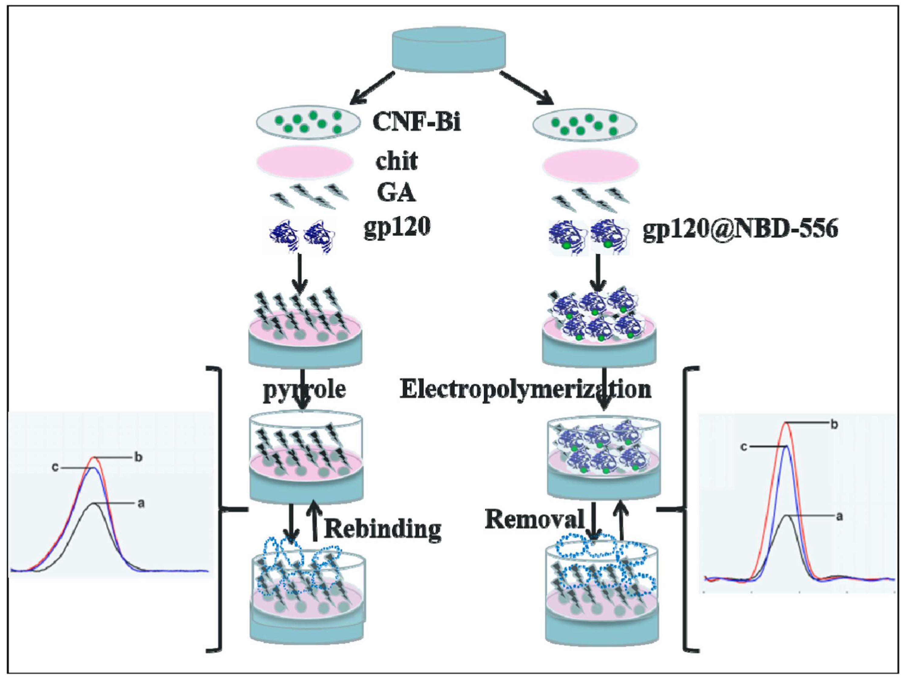 Biosensors 13 00620 g006 Biosensors 13 00620 g006