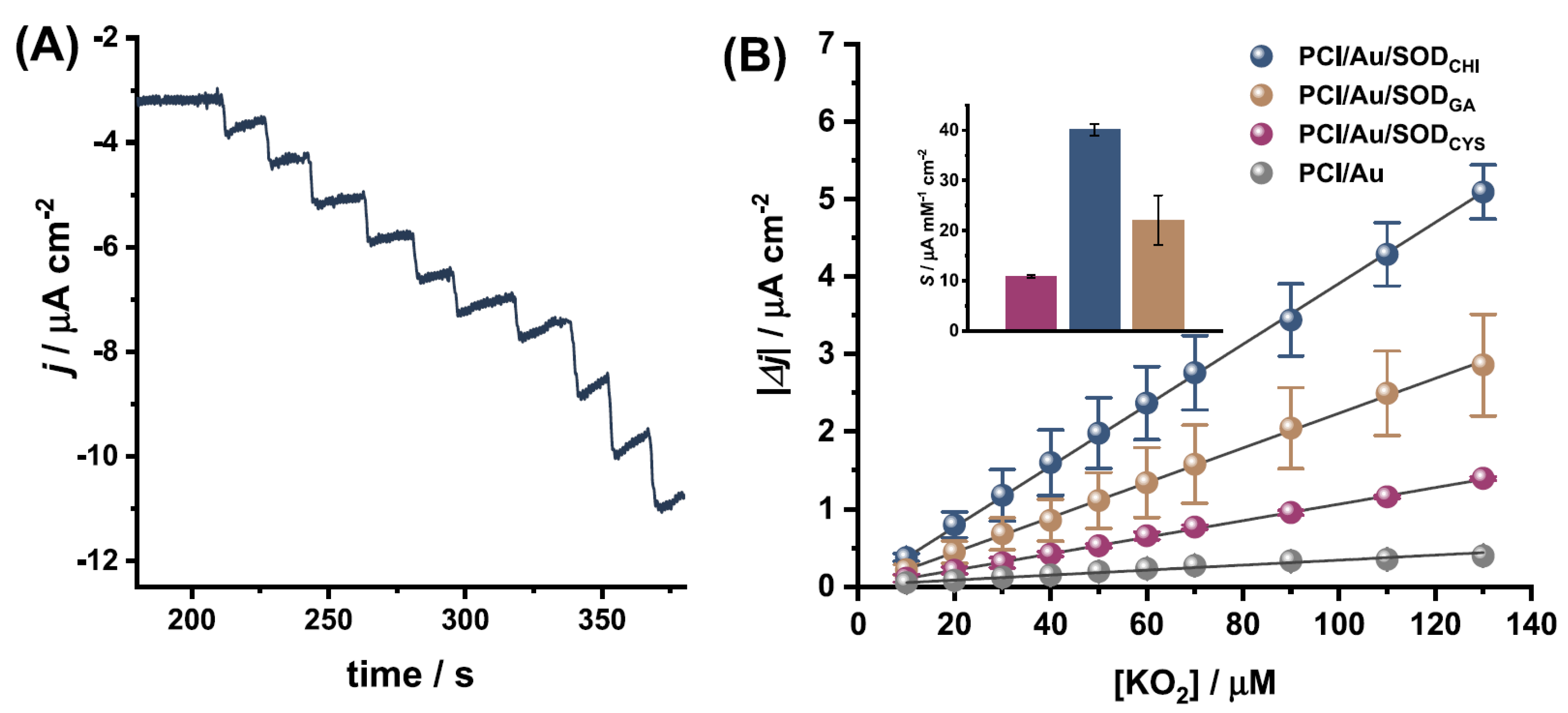 Biosensors 13 00622 g007