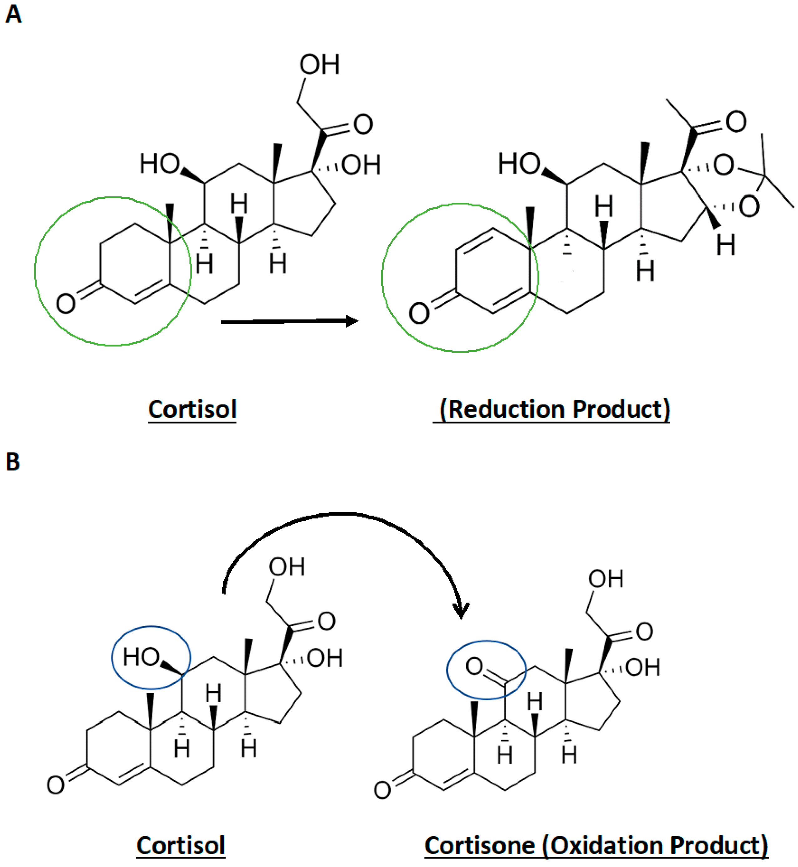 Biosensors 13 00626 sch001